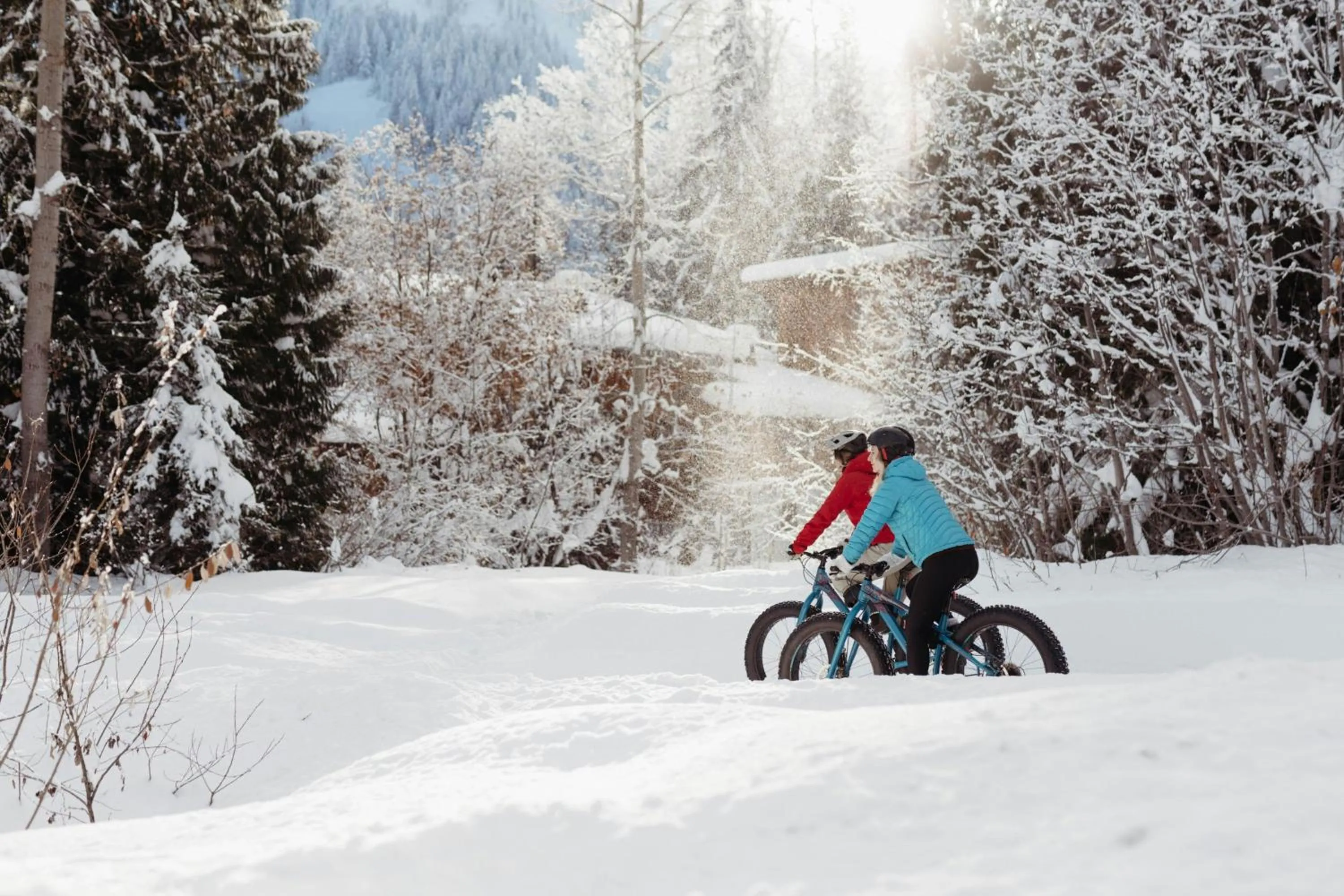 Other in The Josie Hotel, Autograph Collection