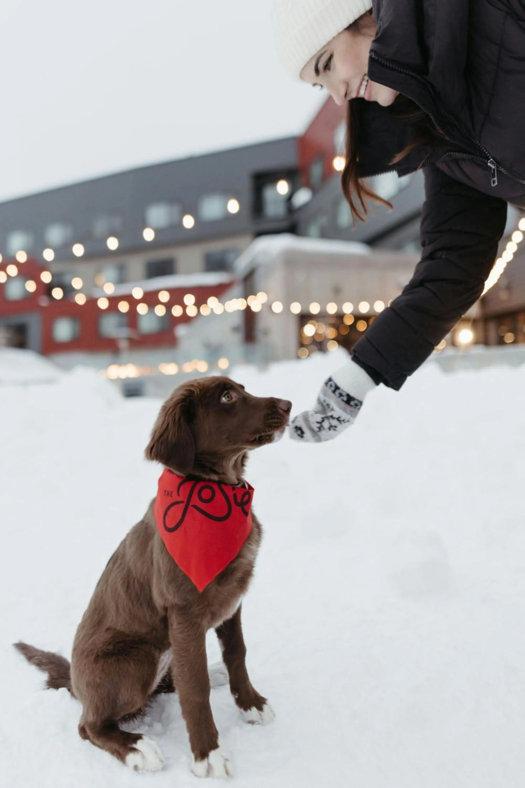Other in The Josie Hotel, Autograph Collection