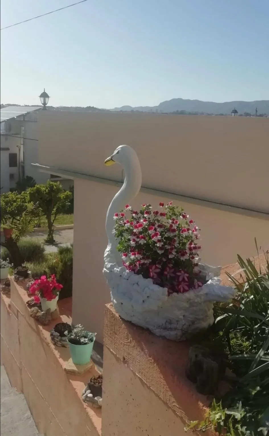 Spring in Villa Luketa