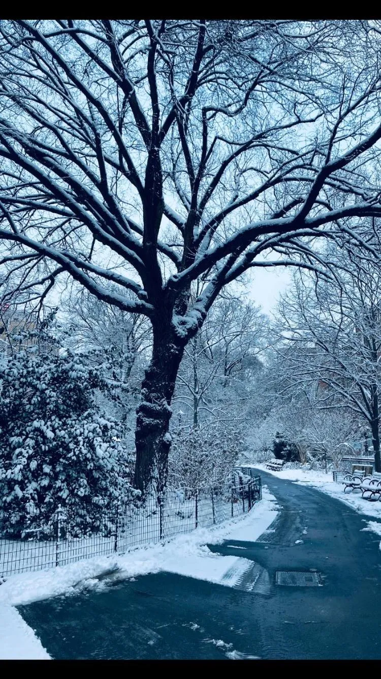Nearby landmark in Harlem Grand