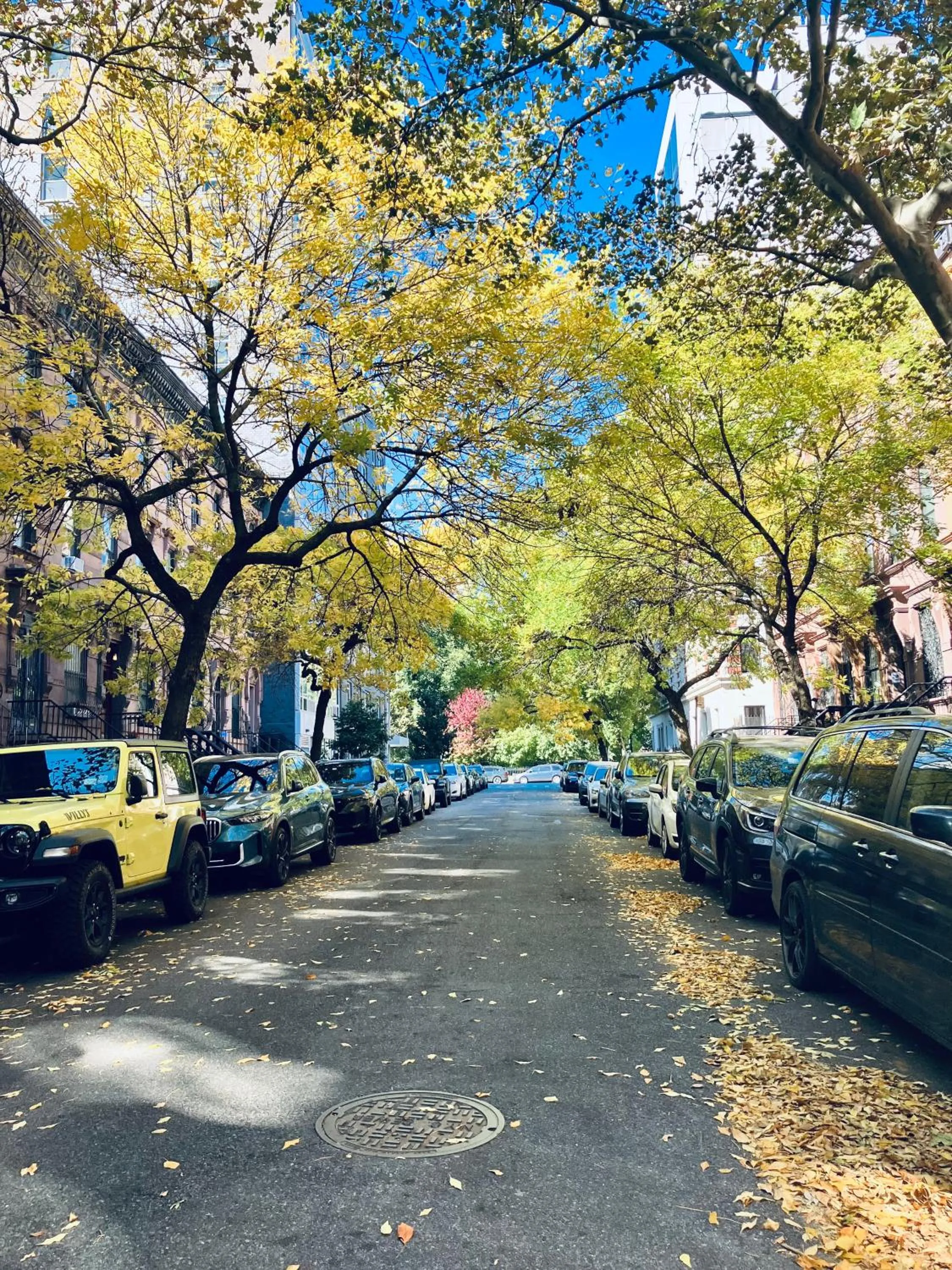 Quiet street view in Harlem Grand