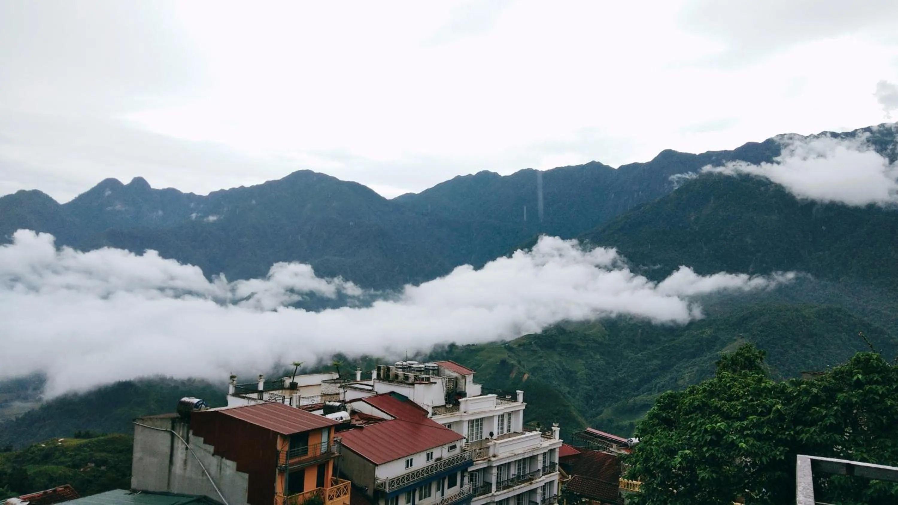 Nguyen Dang Guesthouse