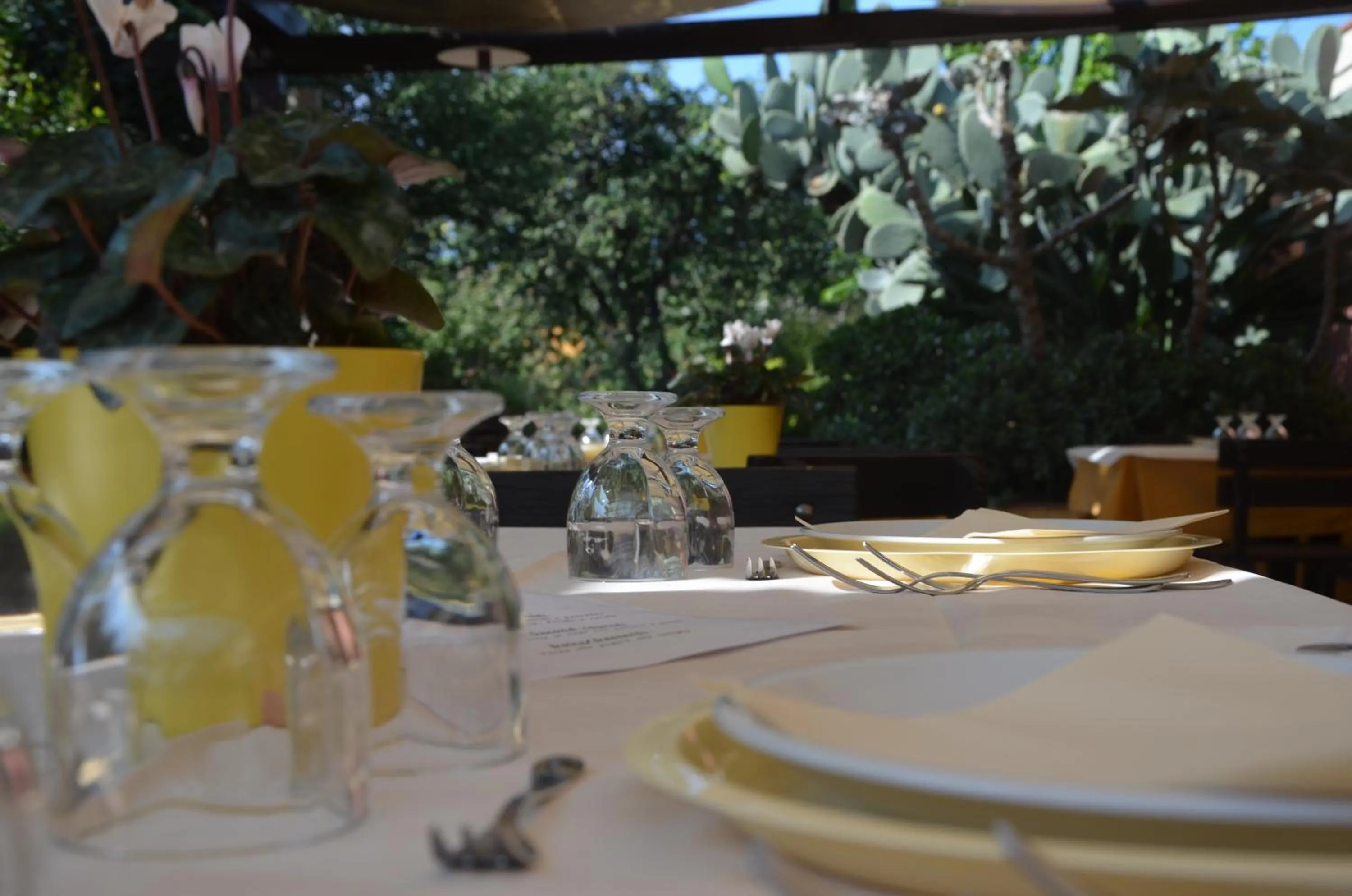 Restaurant/places to eat in La Terra Del Mezzo