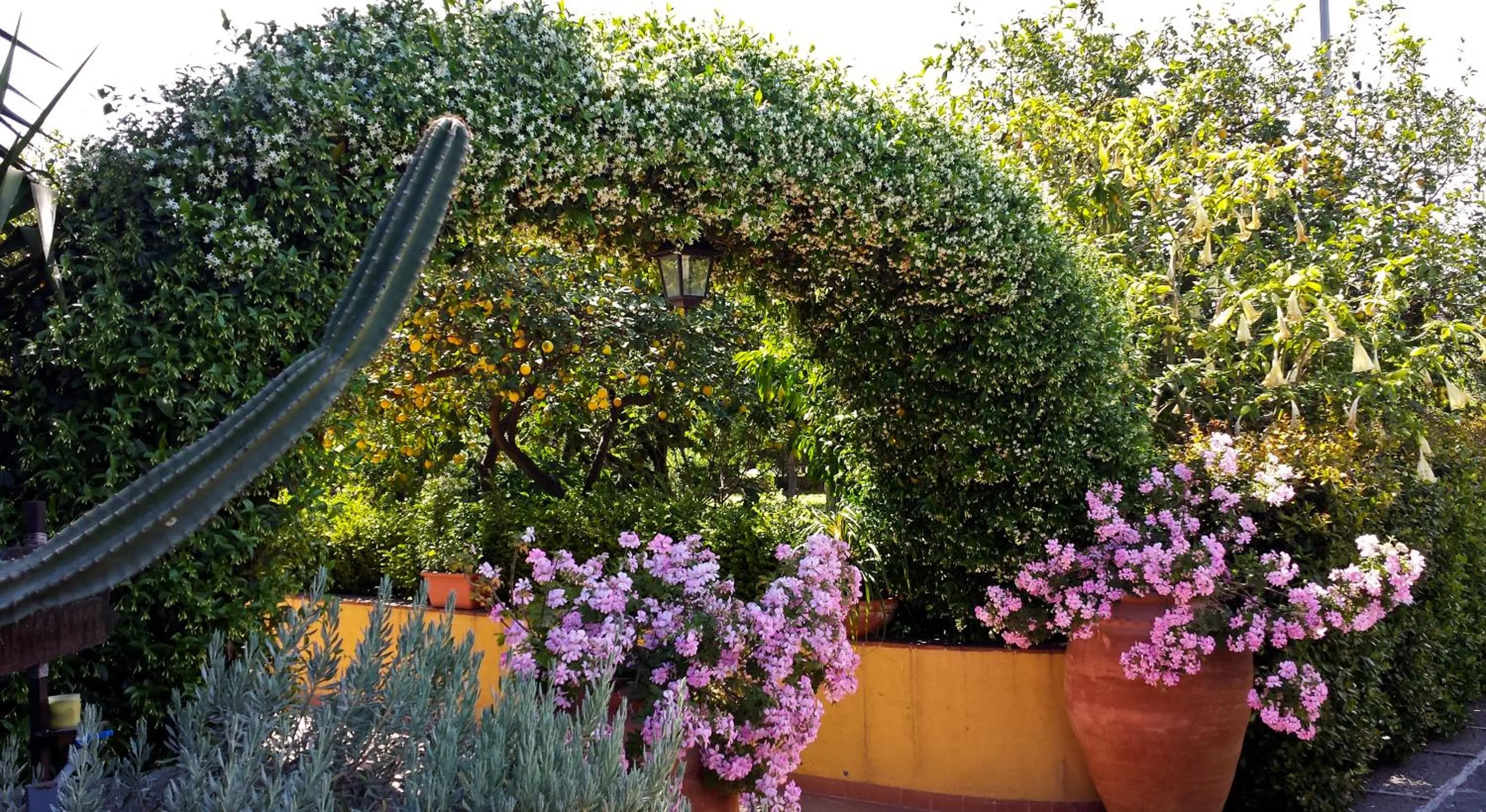 Spring in La Terra Del Mezzo