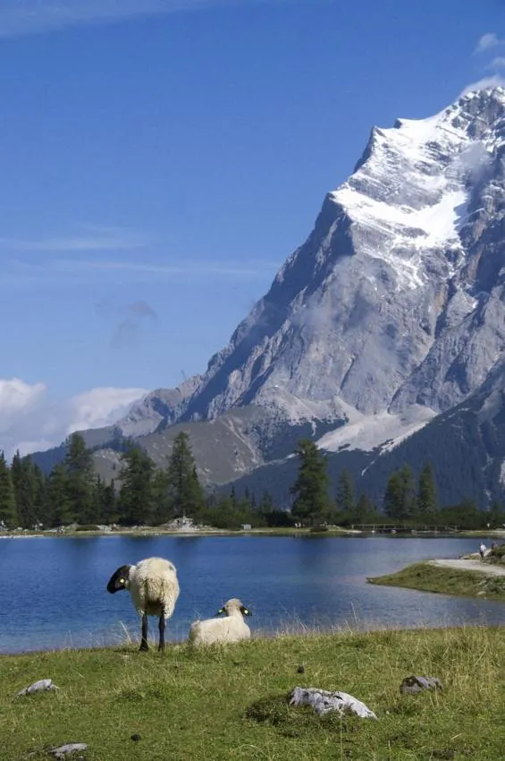 Natural landscape in Sporthotel Pechtl