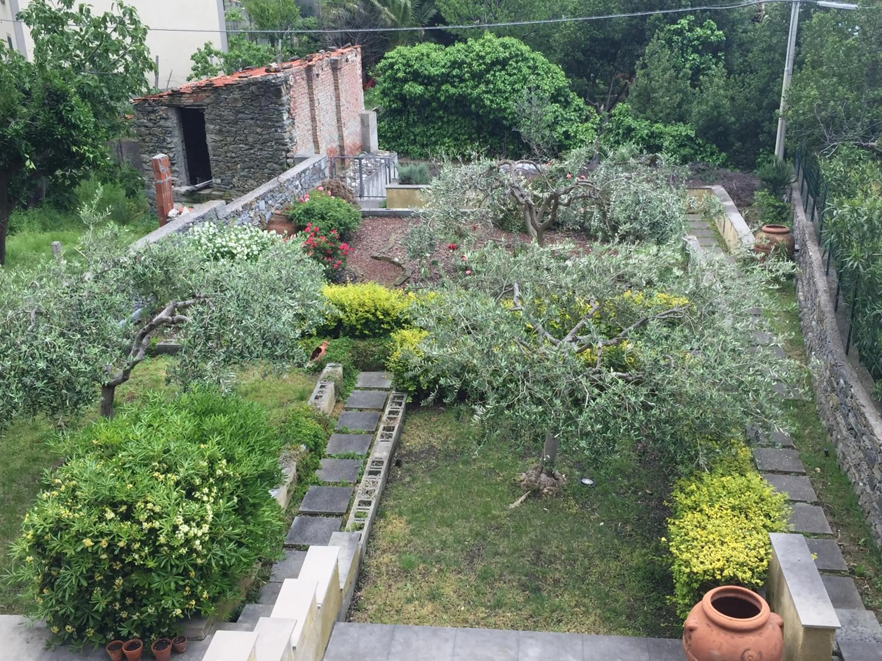 Garden view in La Posada