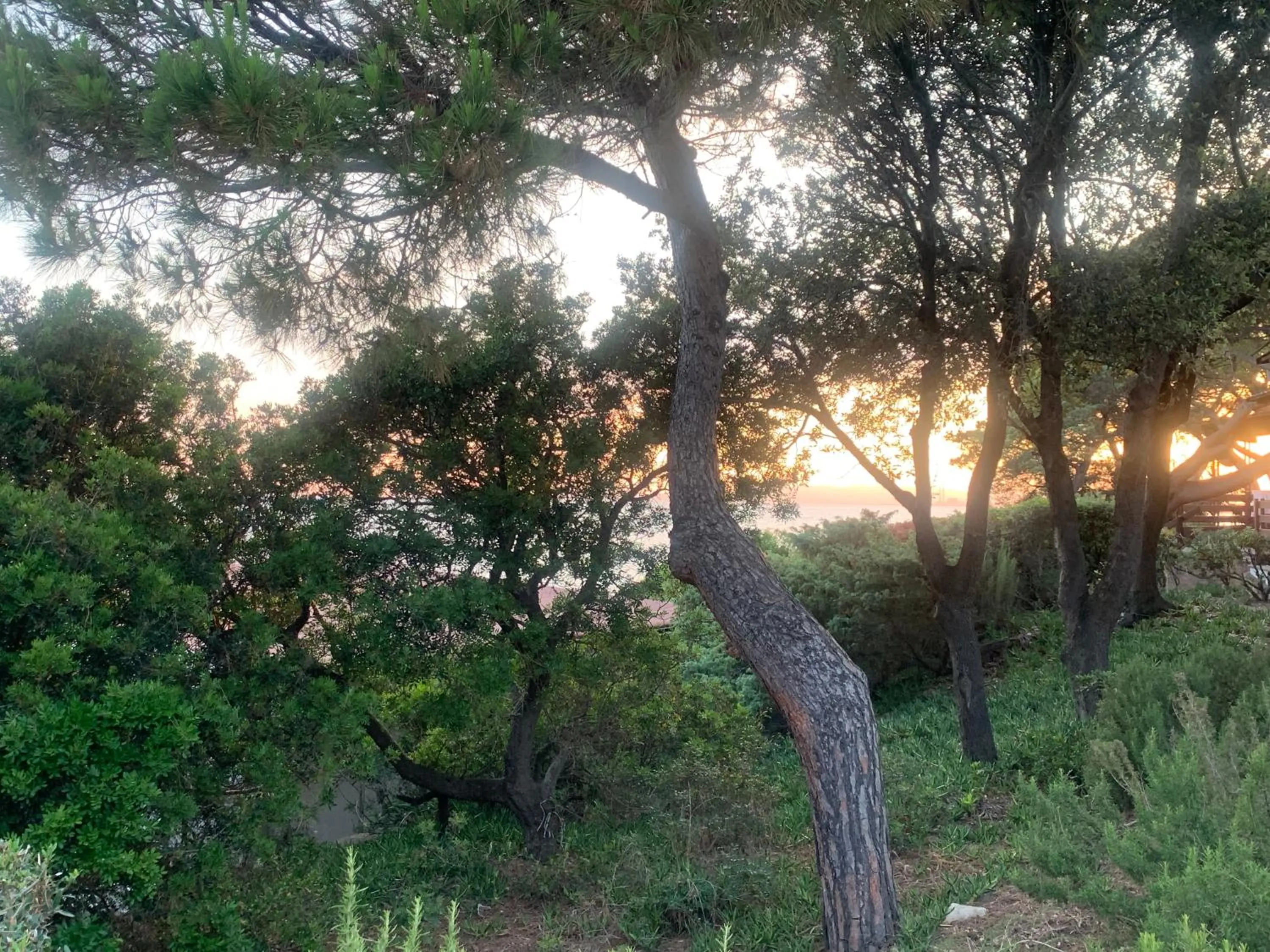 Golfo del Sole Hotel & Holiday Resort