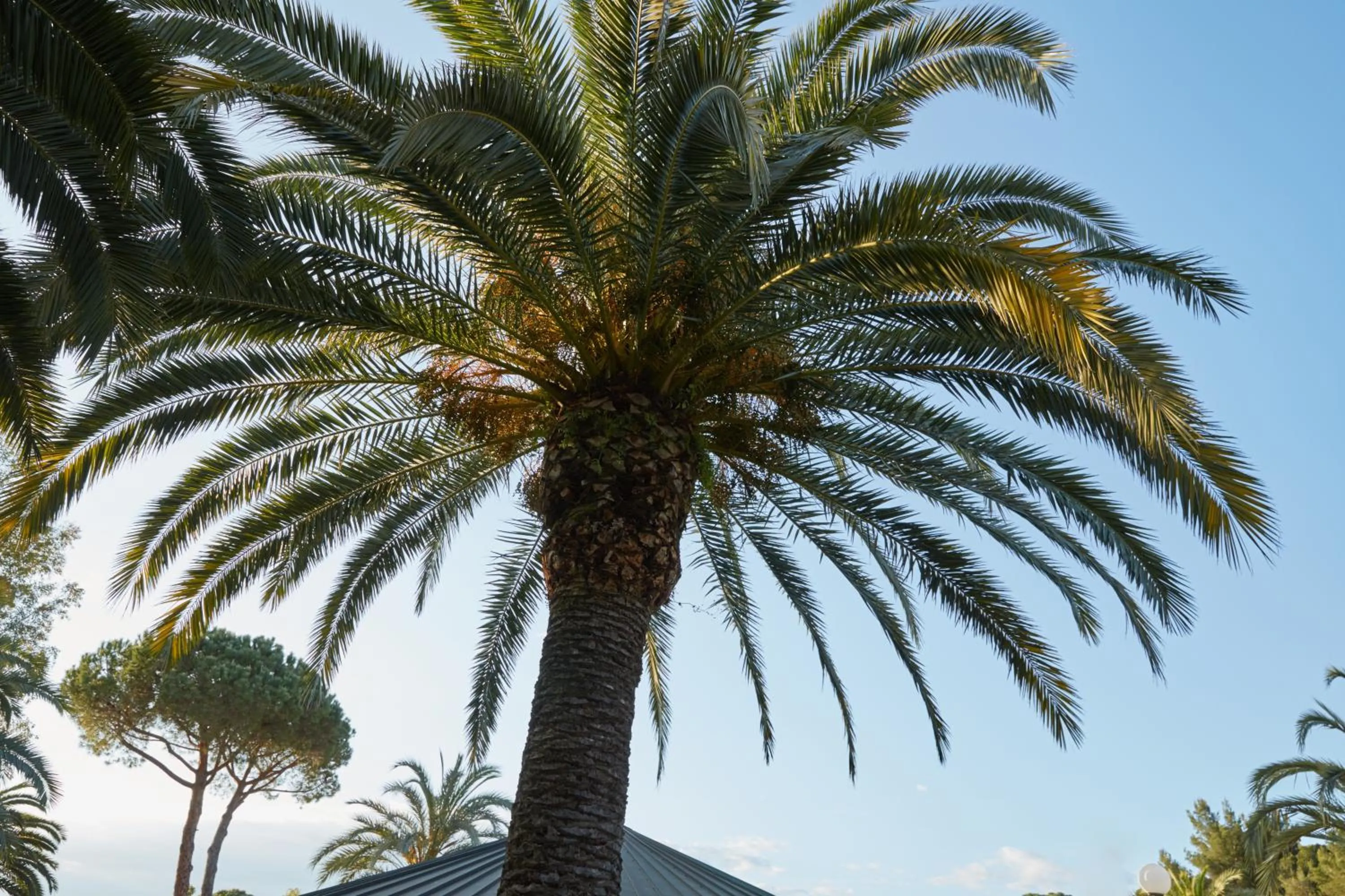 Garden in Golfo del Sole Hotel & Holiday Resort