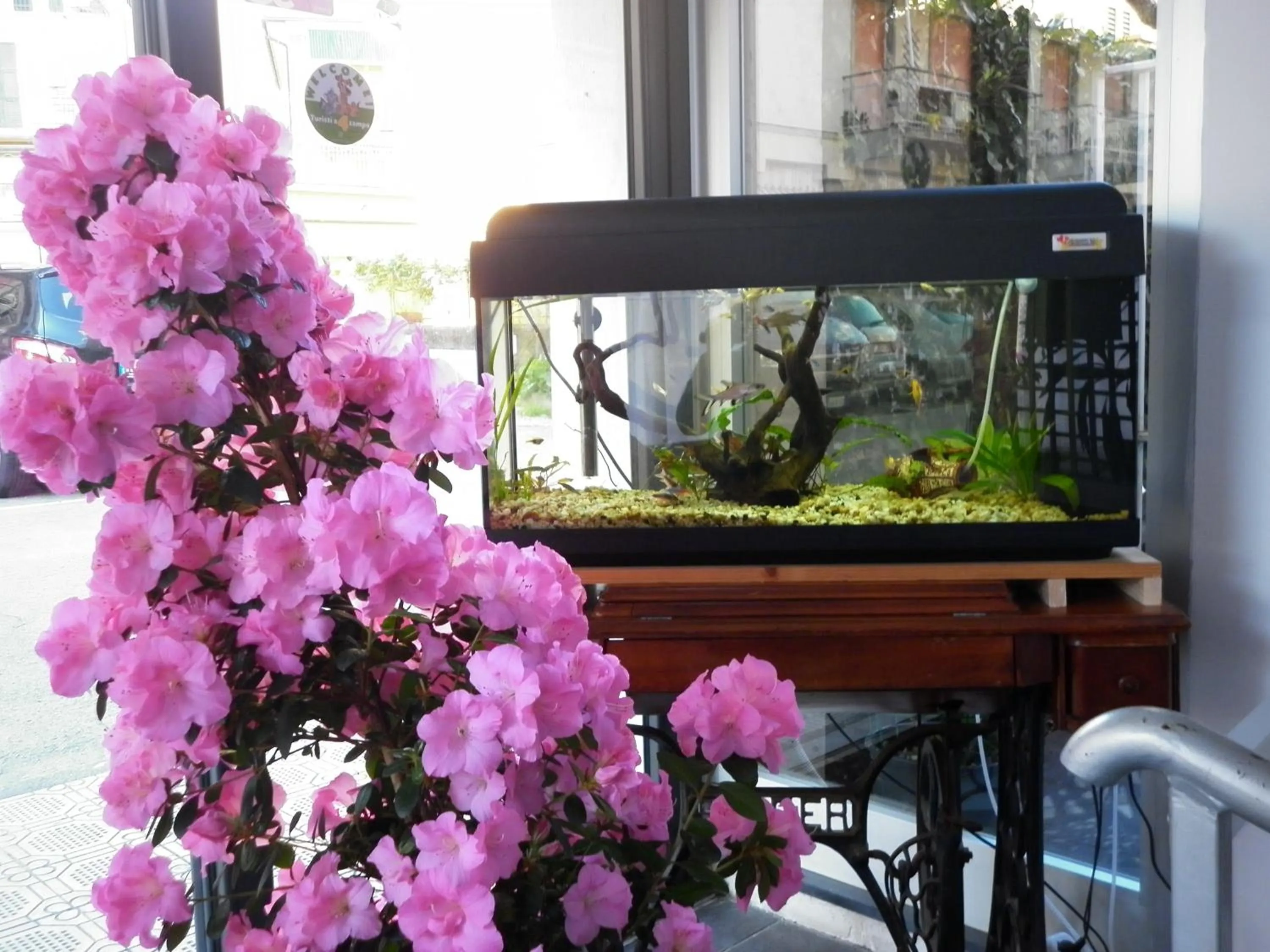 Other in Hotel Villa Rosa