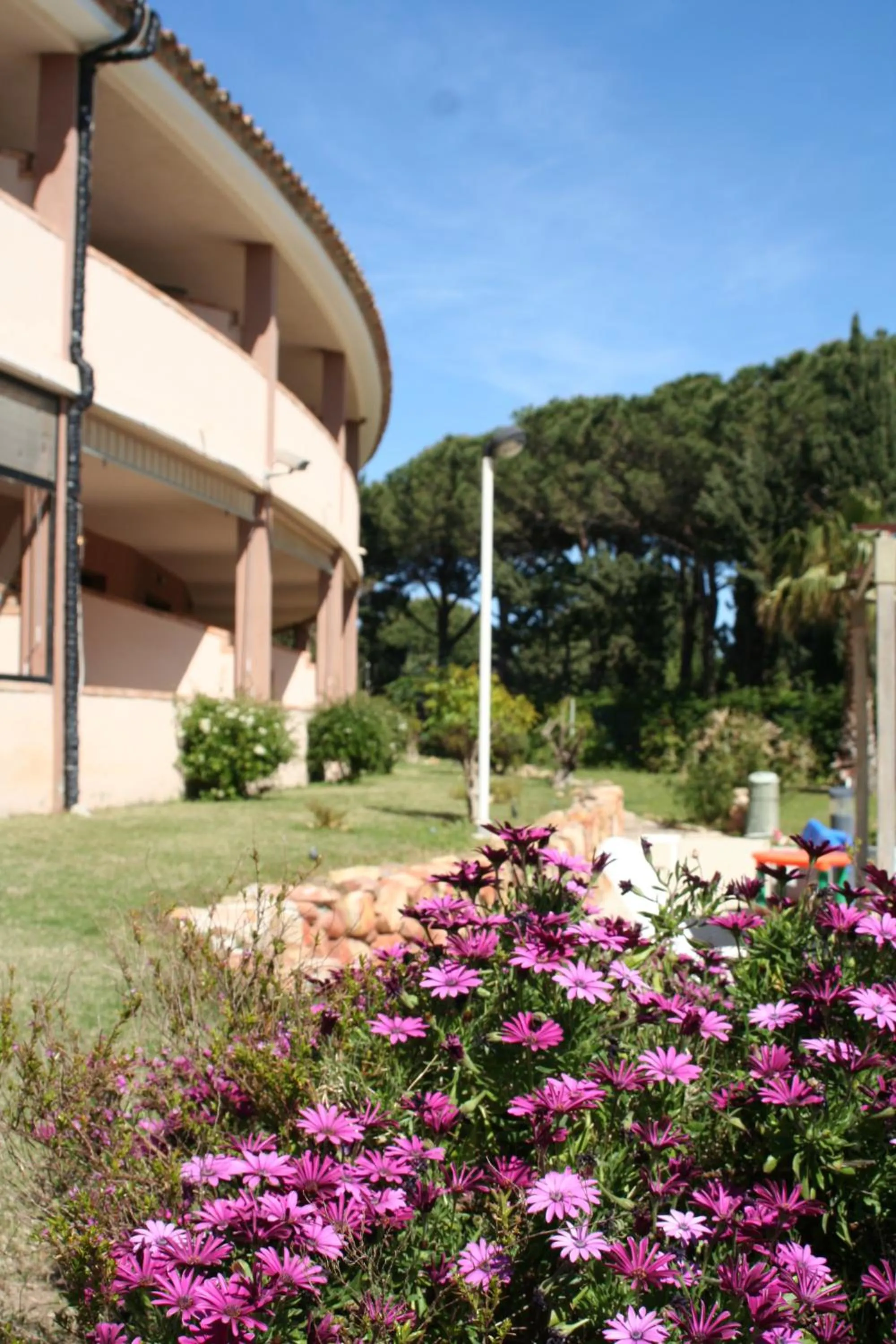 Decorative detail in Verdemare Sardegna Uno