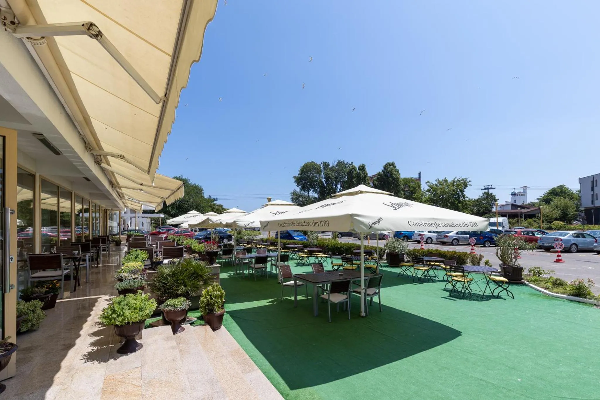 Restaurant/places to eat in Hotel Condor