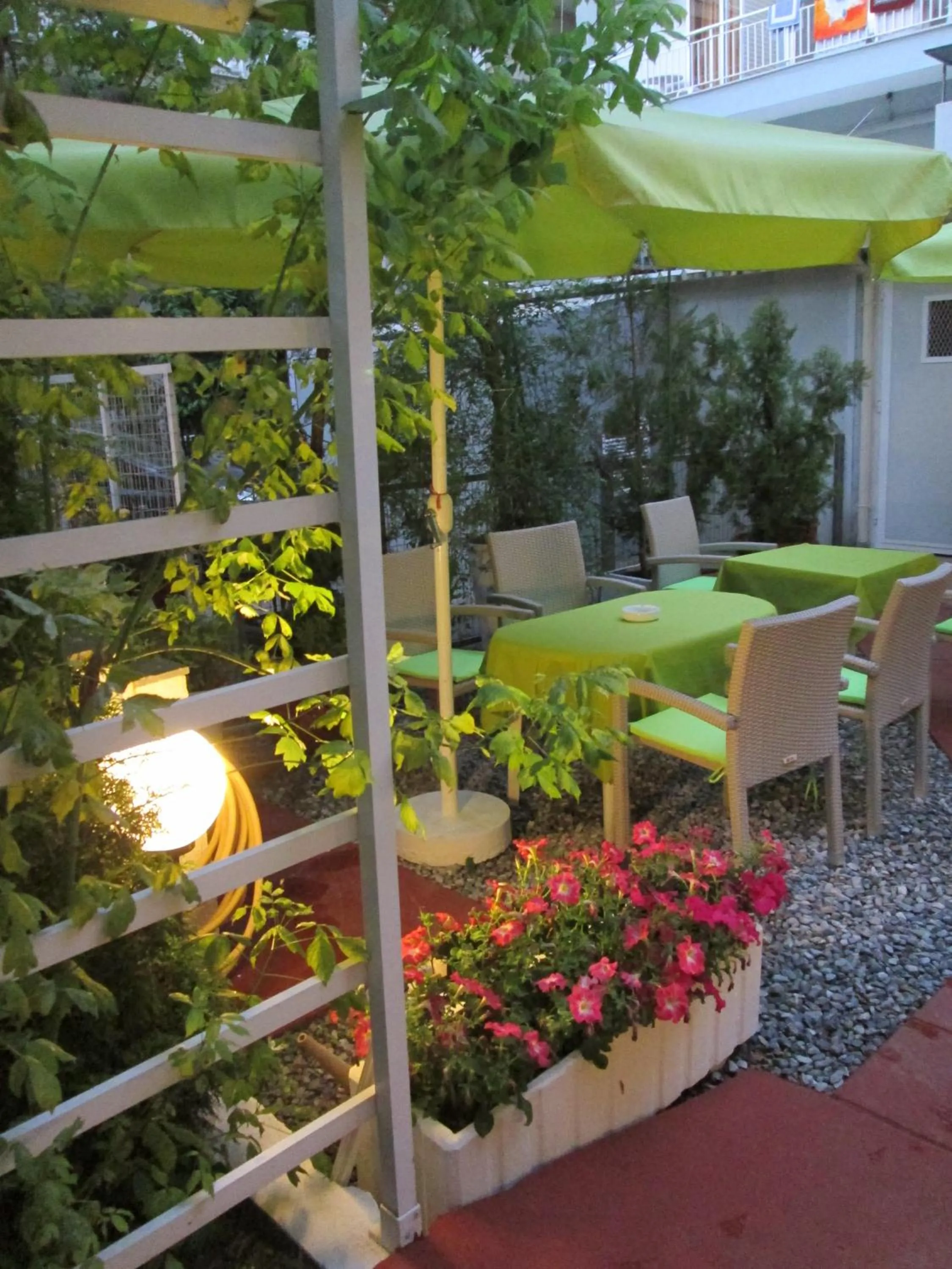 Garden in Hotel Lito