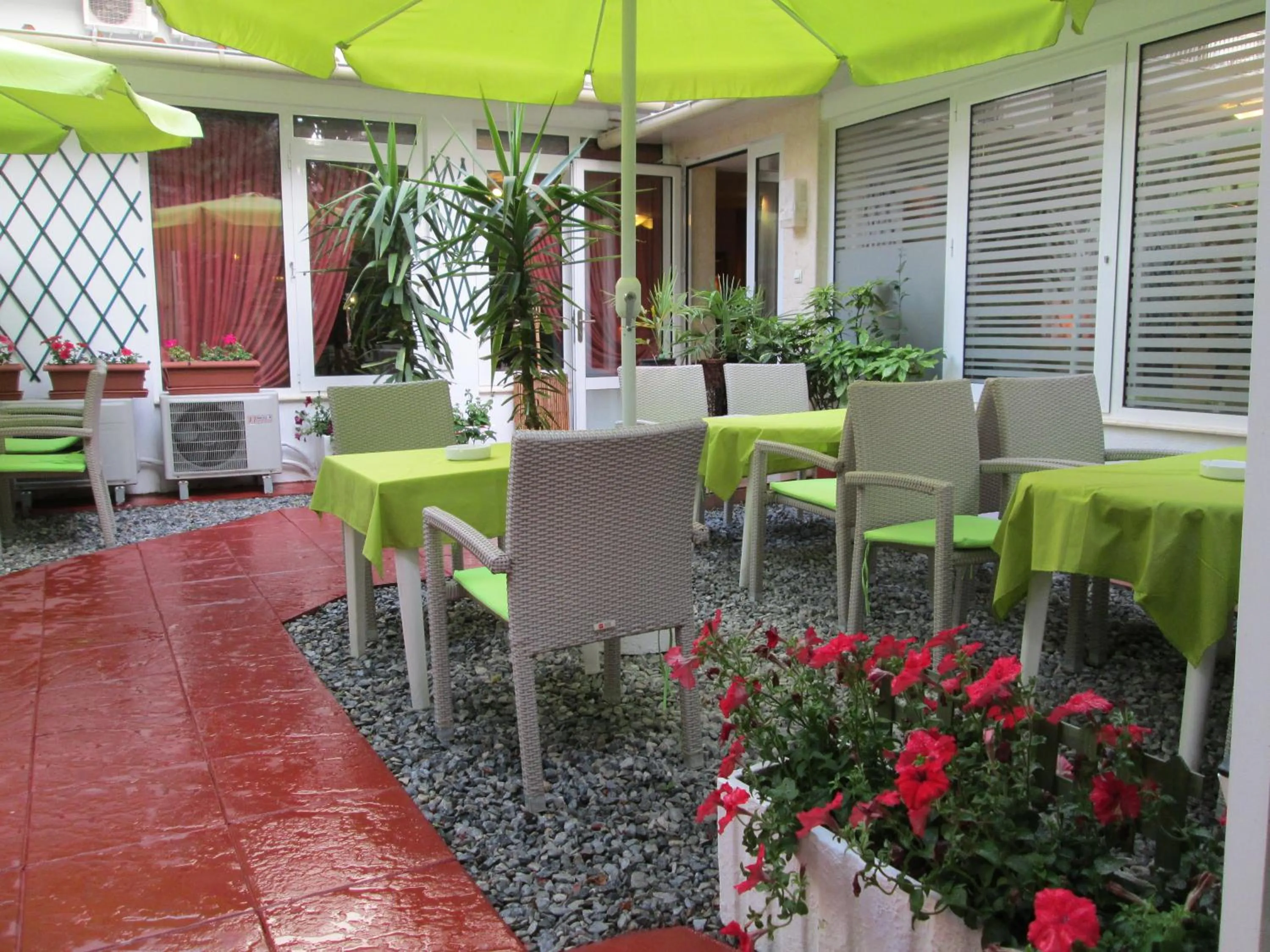 Garden in Hotel Lito