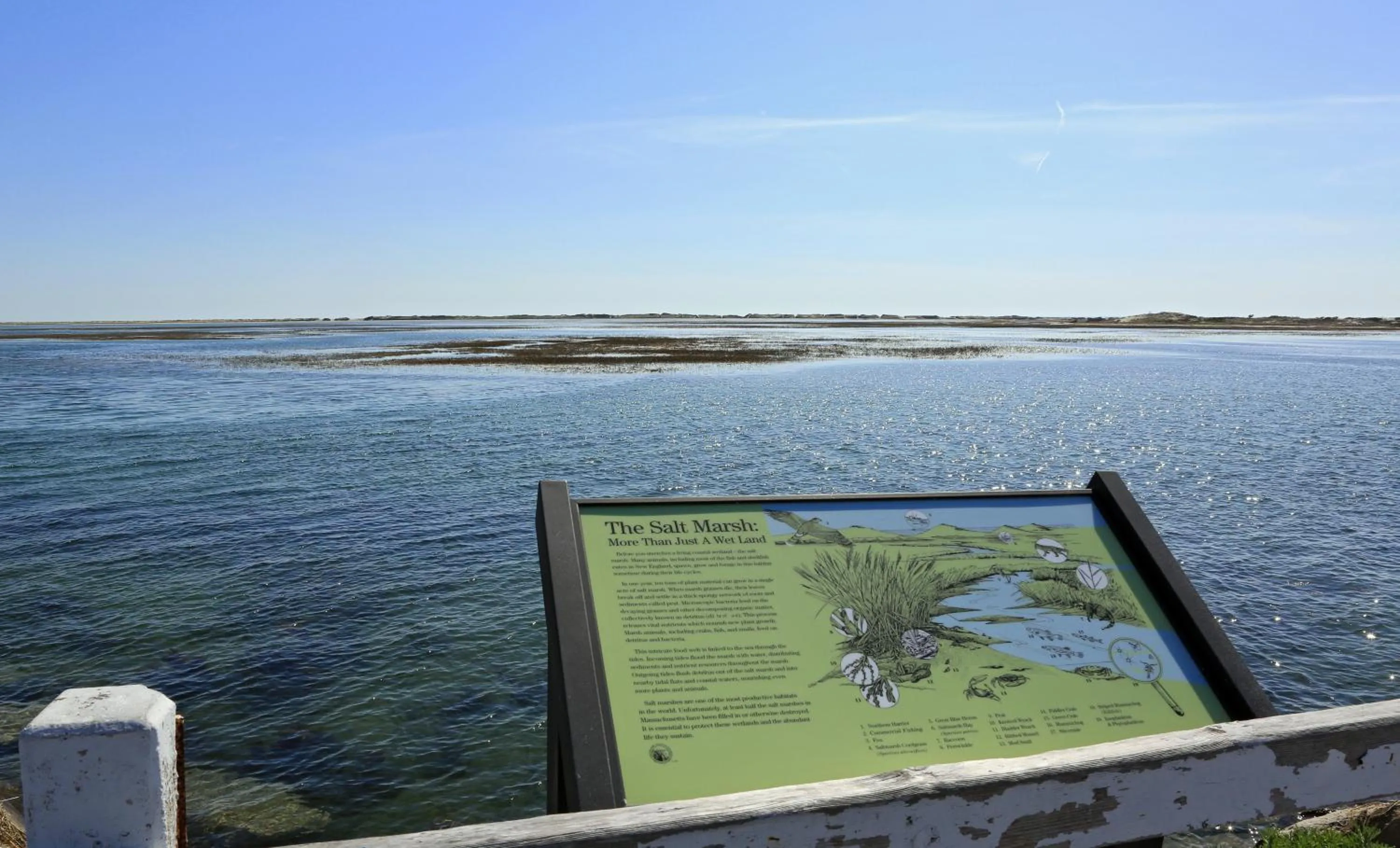 Spring in Anchor Inn Beach House