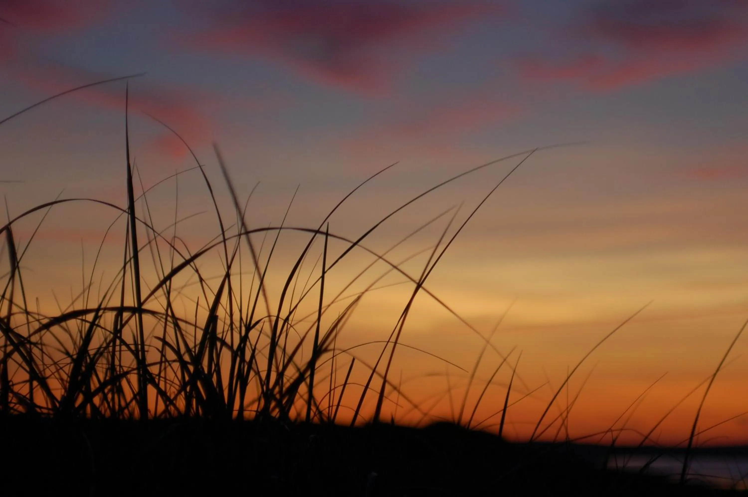 Spring in Anchor Inn Beach House