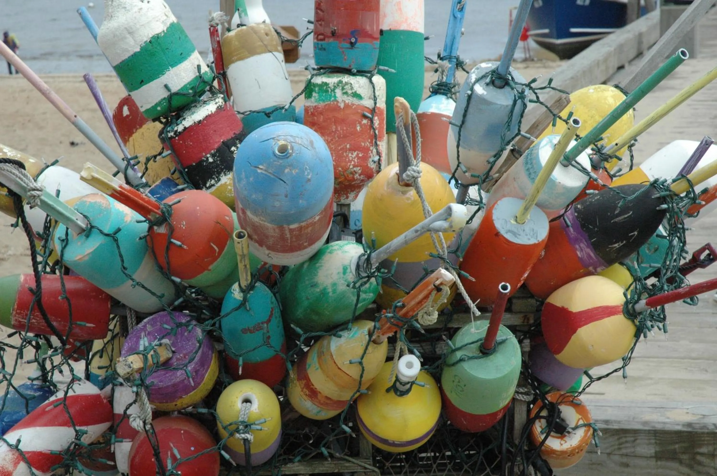 Spring in Anchor Inn Beach House