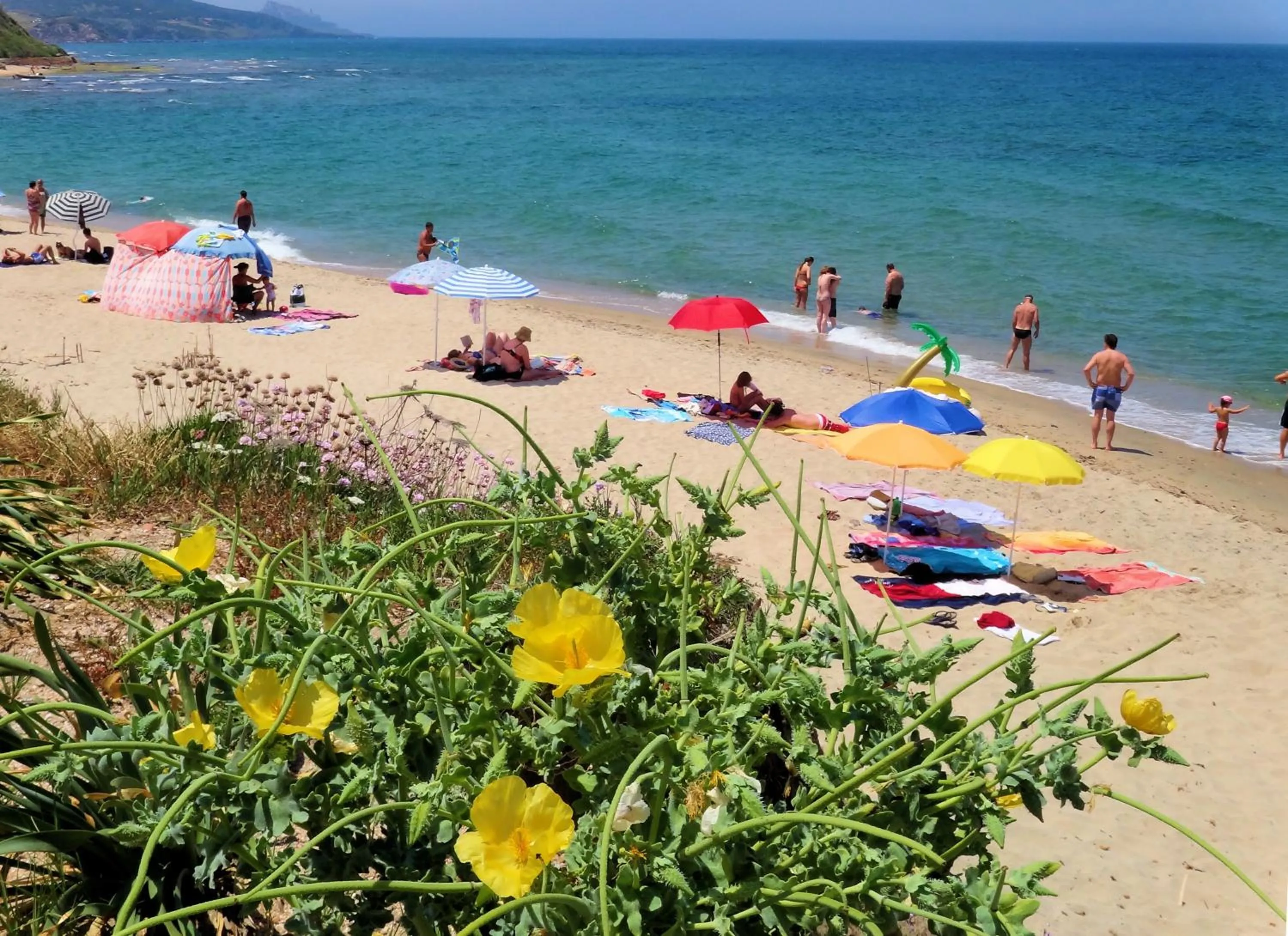 Beach in Sa Fiorida Appartamenti