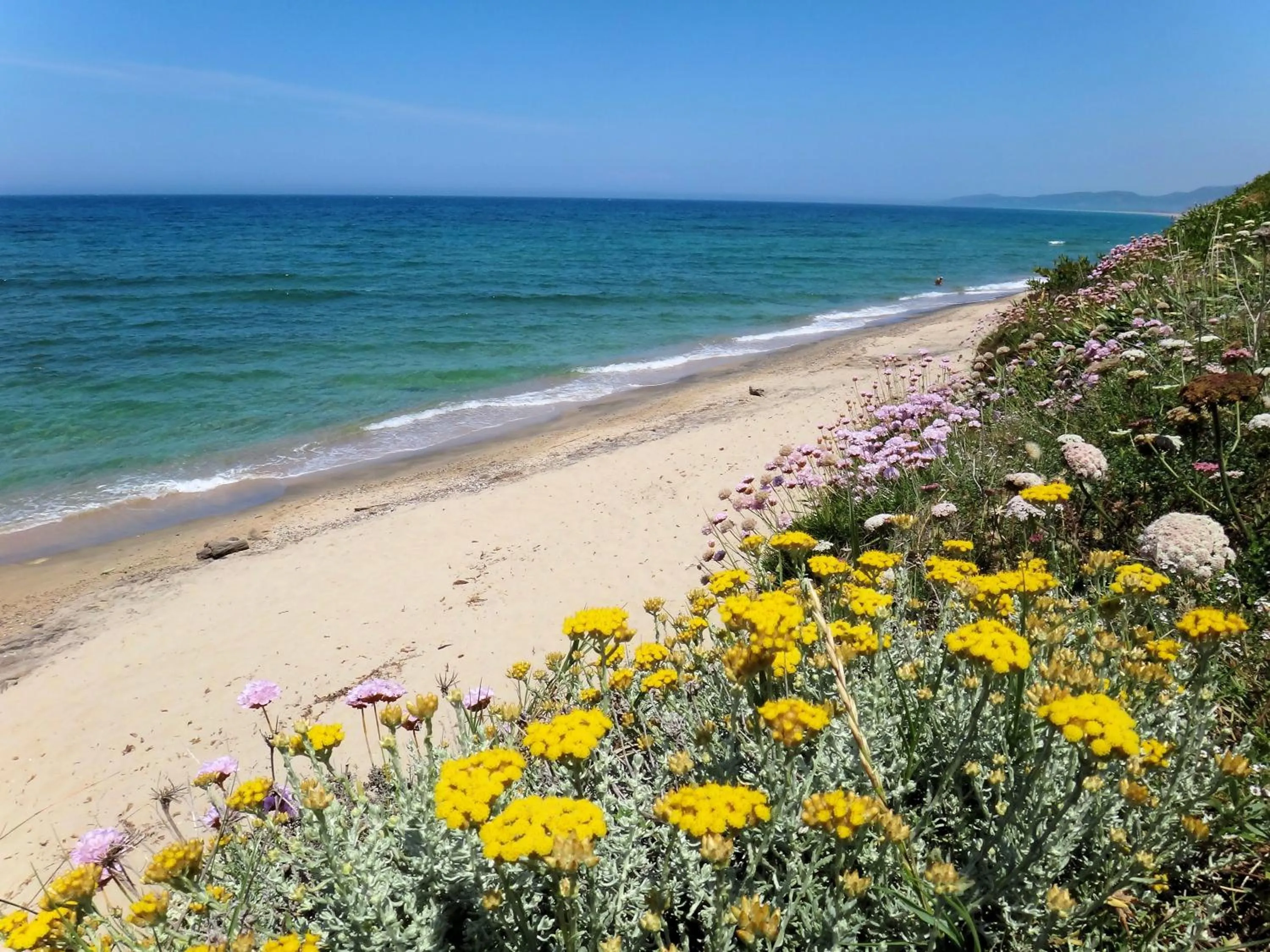 Beach in Sa Fiorida Appartamenti