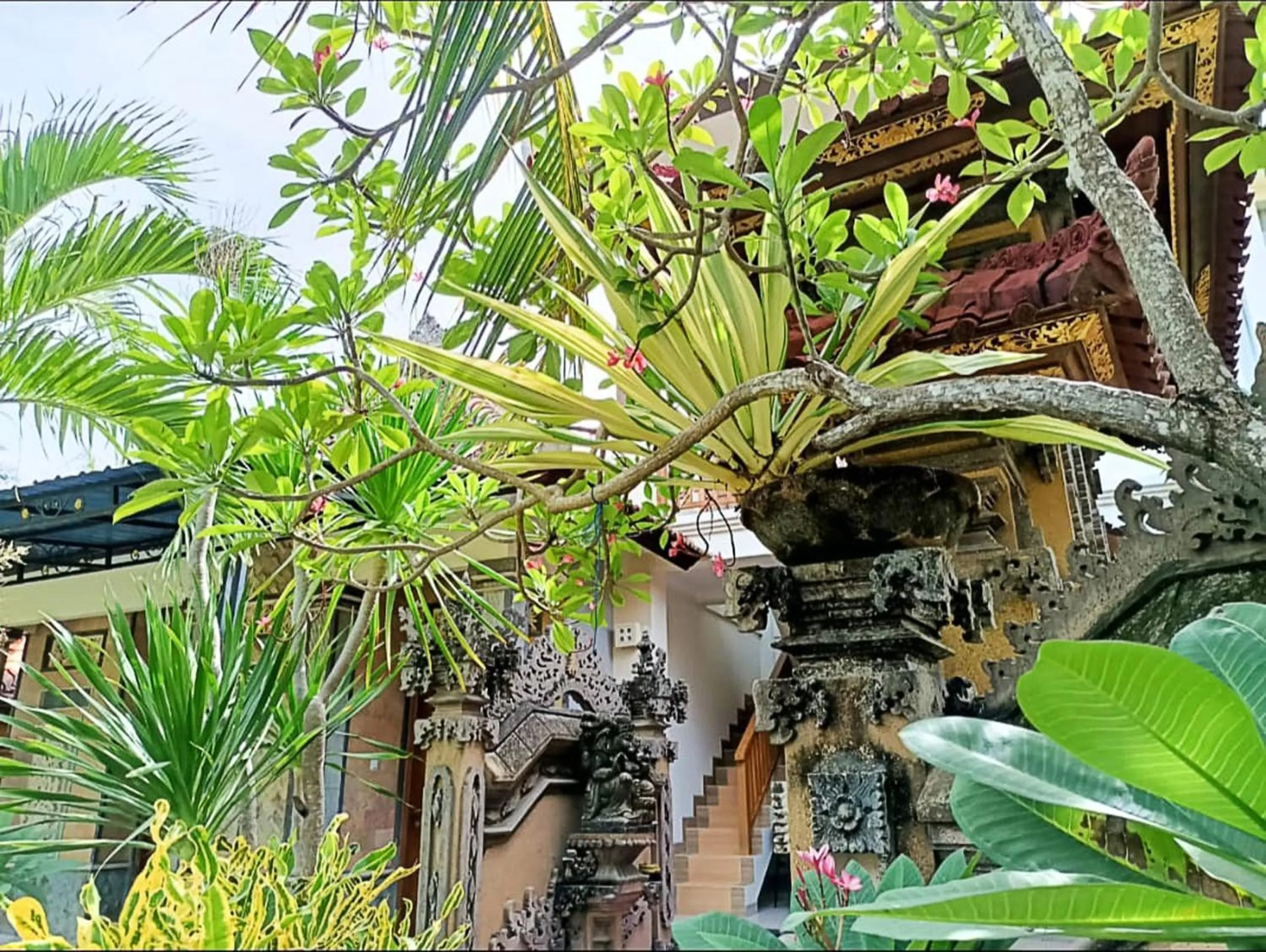 Day in Green Palace Homestay