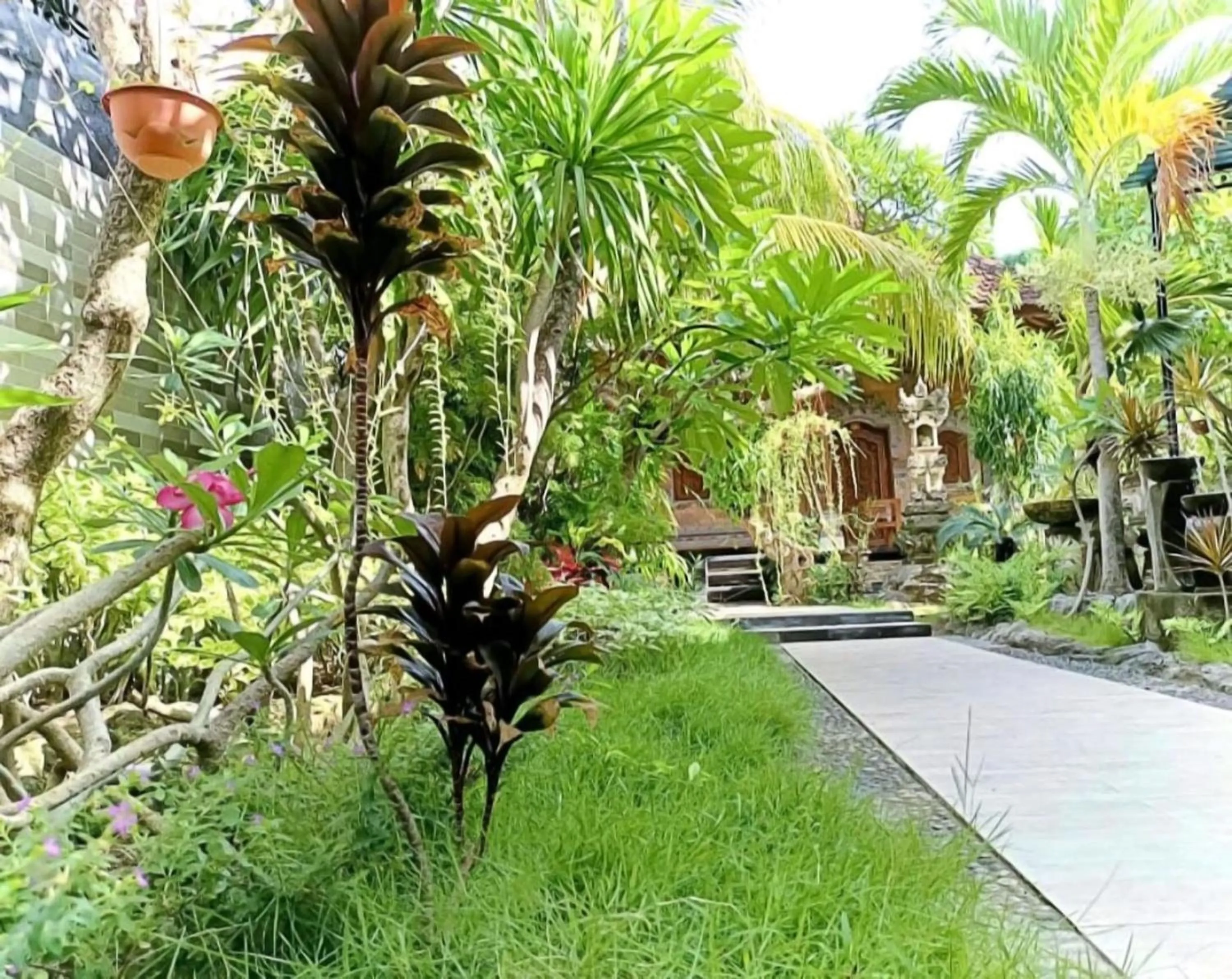 Garden in Green Palace Homestay