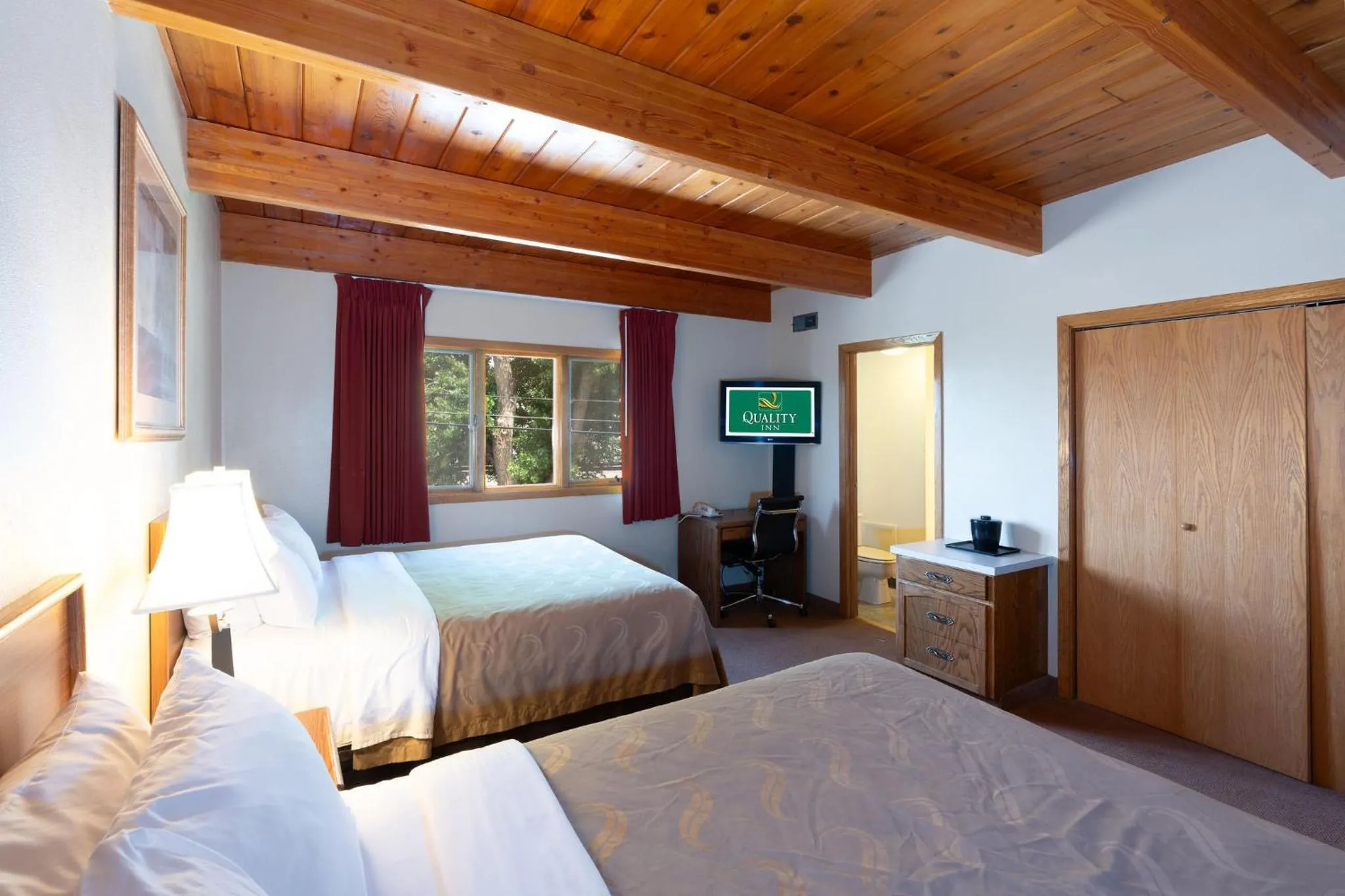 Bed in Quality Inn Havre