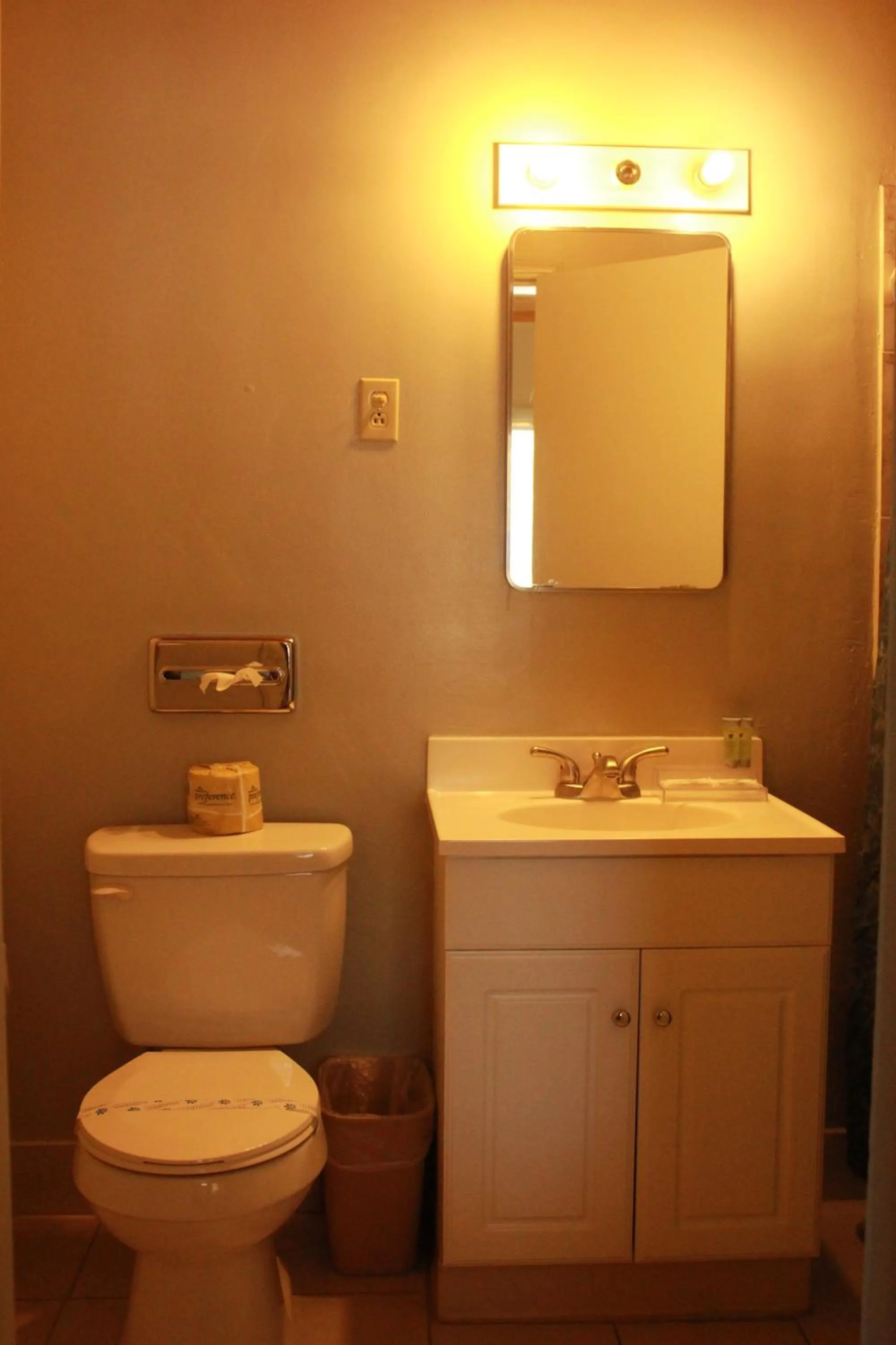 Bathroom in Budget Inn -Yreka