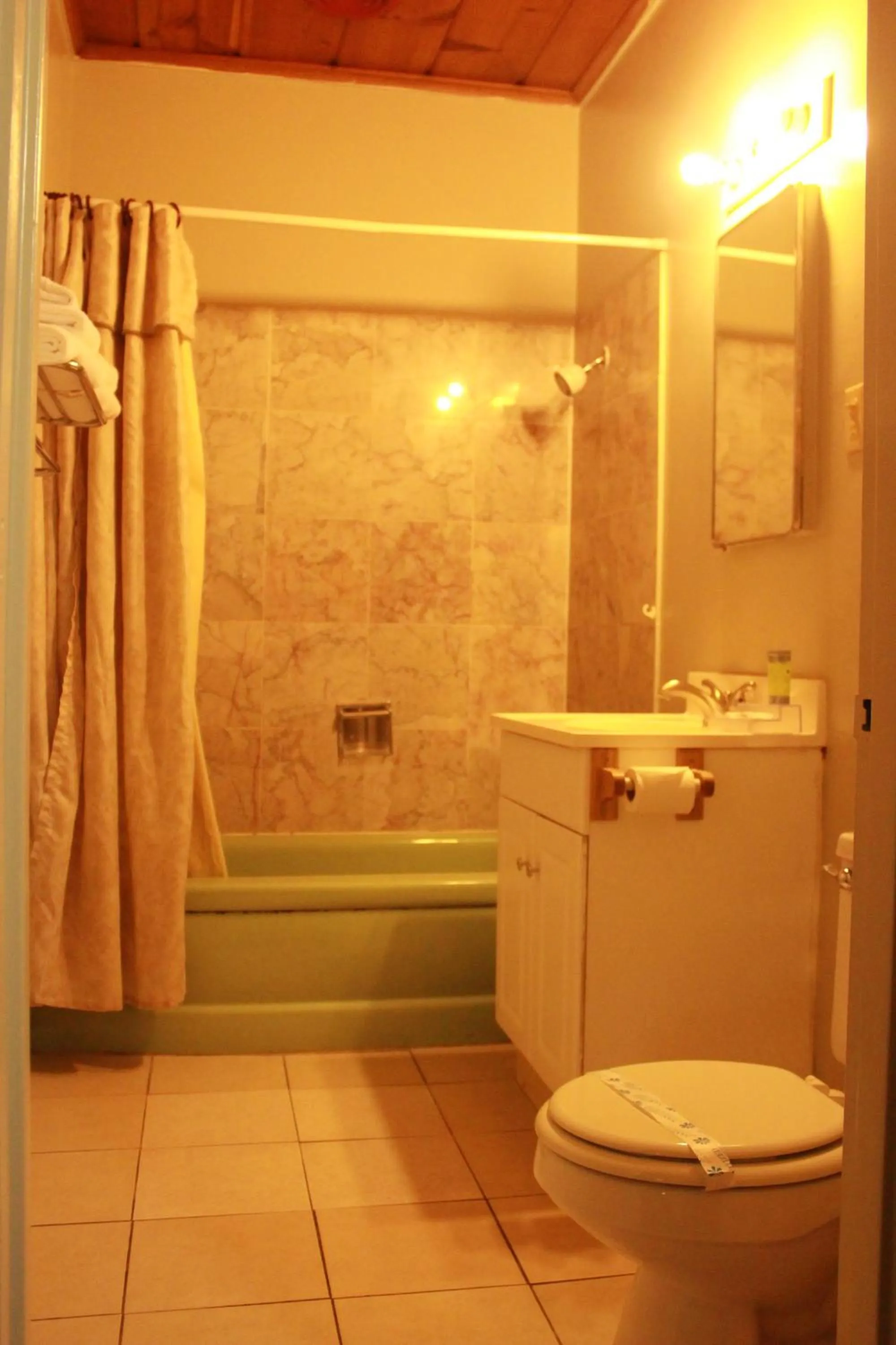 Bathroom in Budget Inn -Yreka