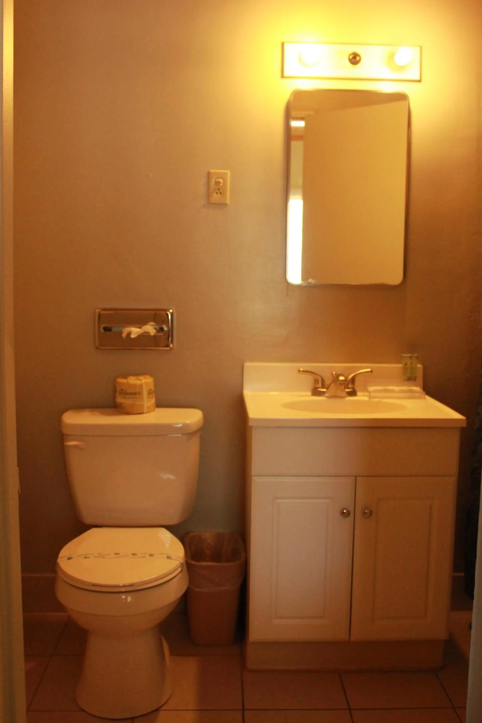 Bathroom in Budget Inn -Yreka