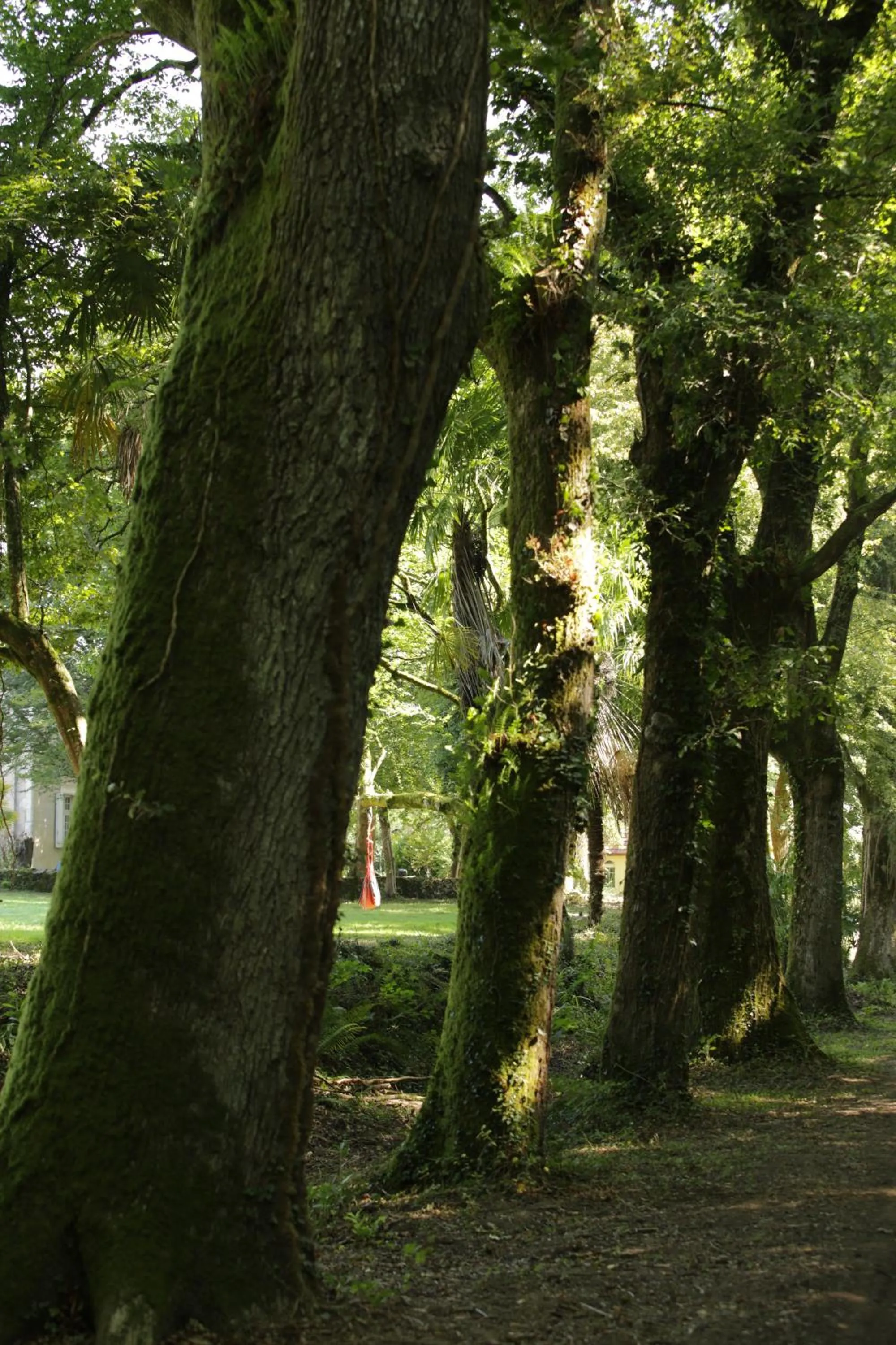 Chateau Saint Martin B&B