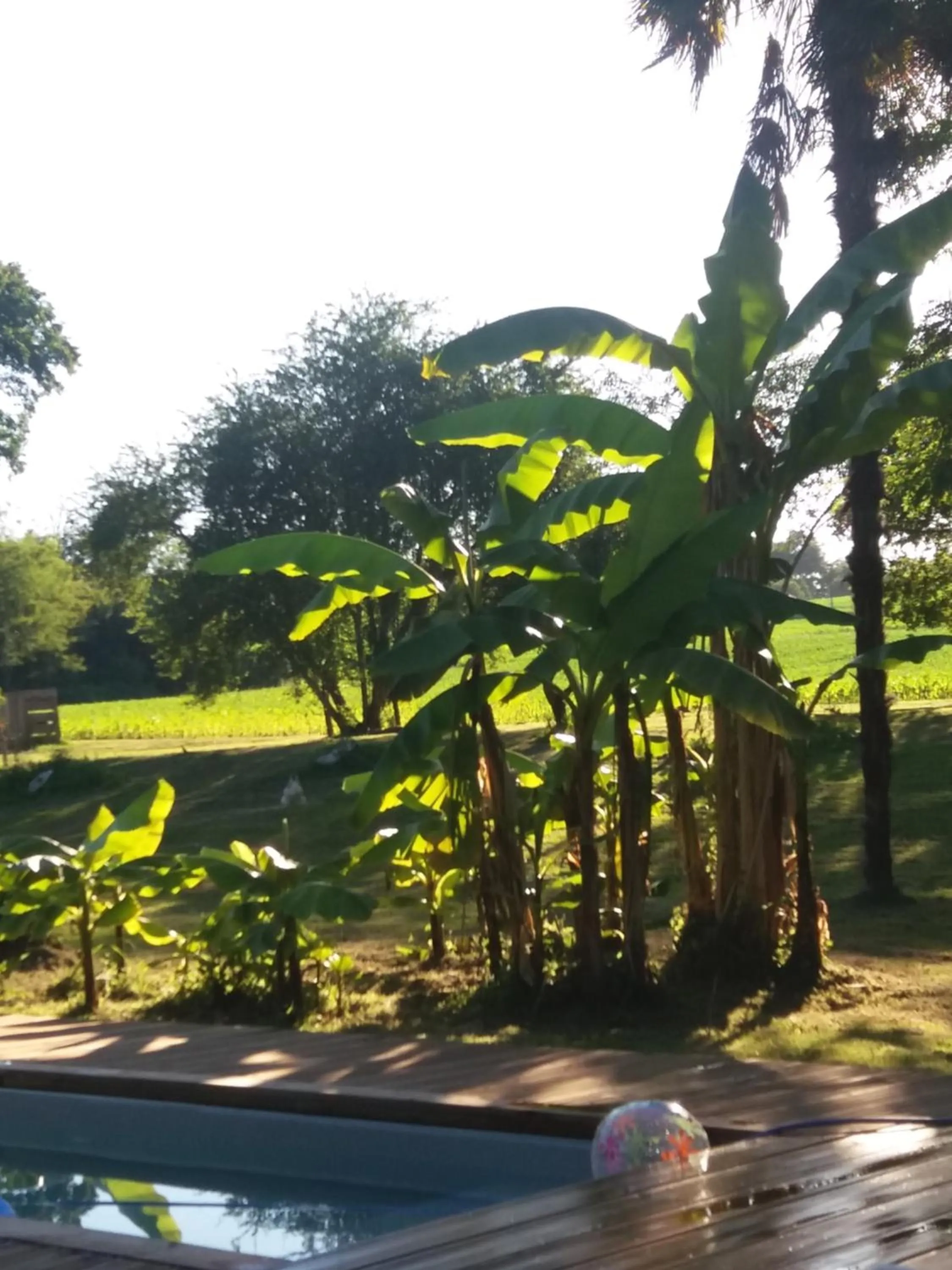 Swimming pool in Chateau Saint Martin B&B