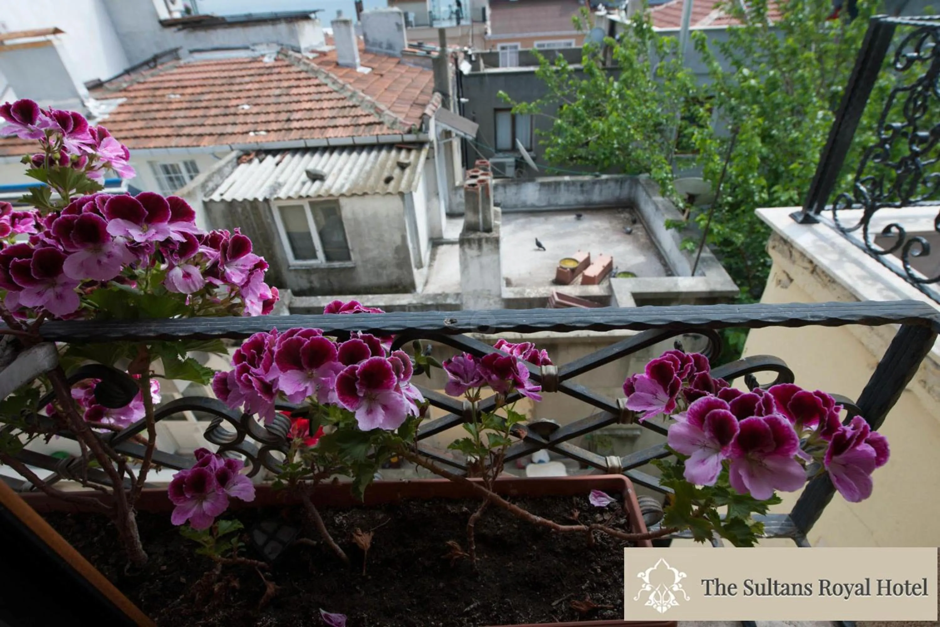 Decorative detail in Sultans Royal Hotel