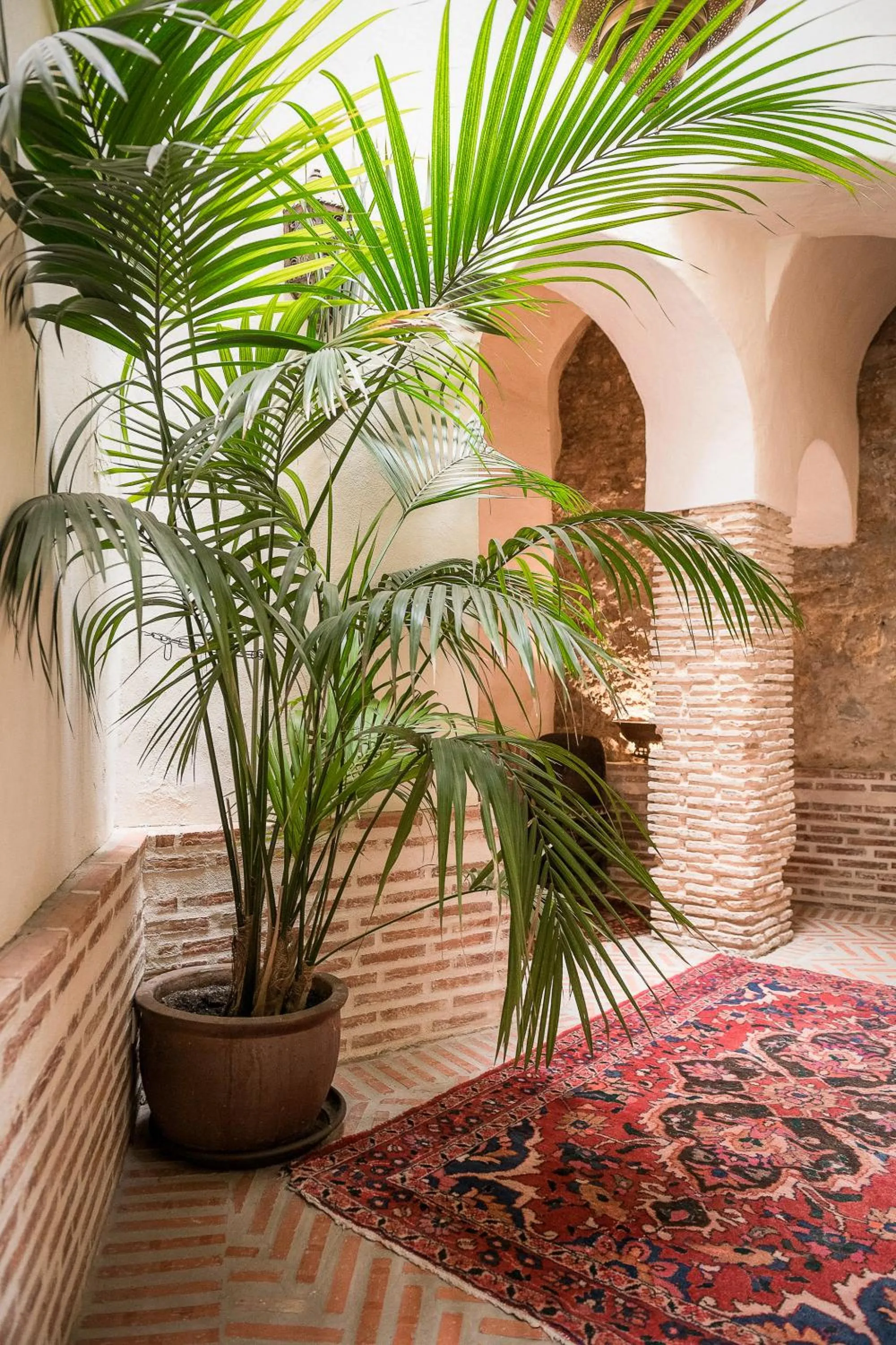 Property building in Las Palmeras del Califa