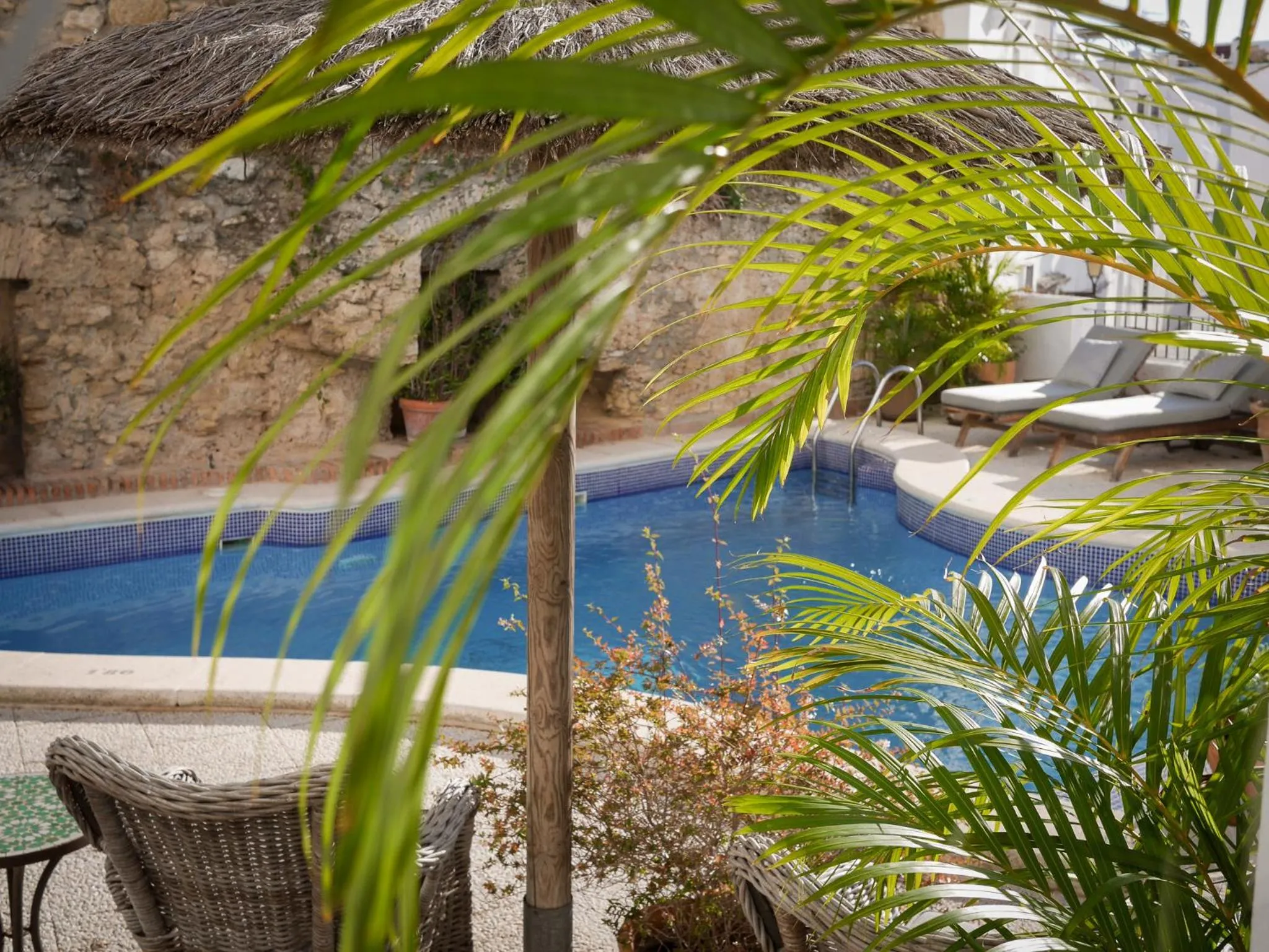 Swimming pool in Las Palmeras del Califa