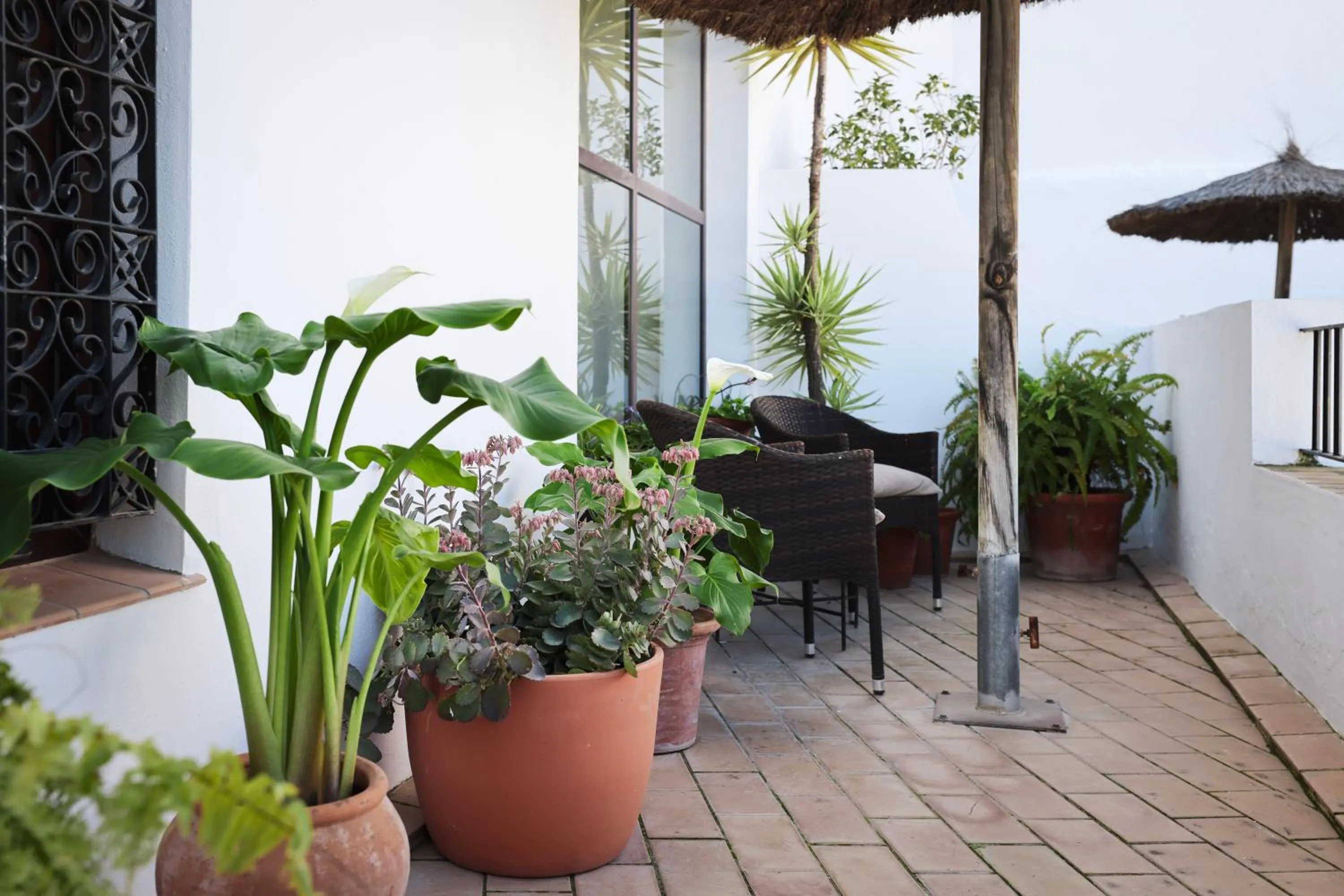 Balcony/Terrace in Las Palmeras del Califa