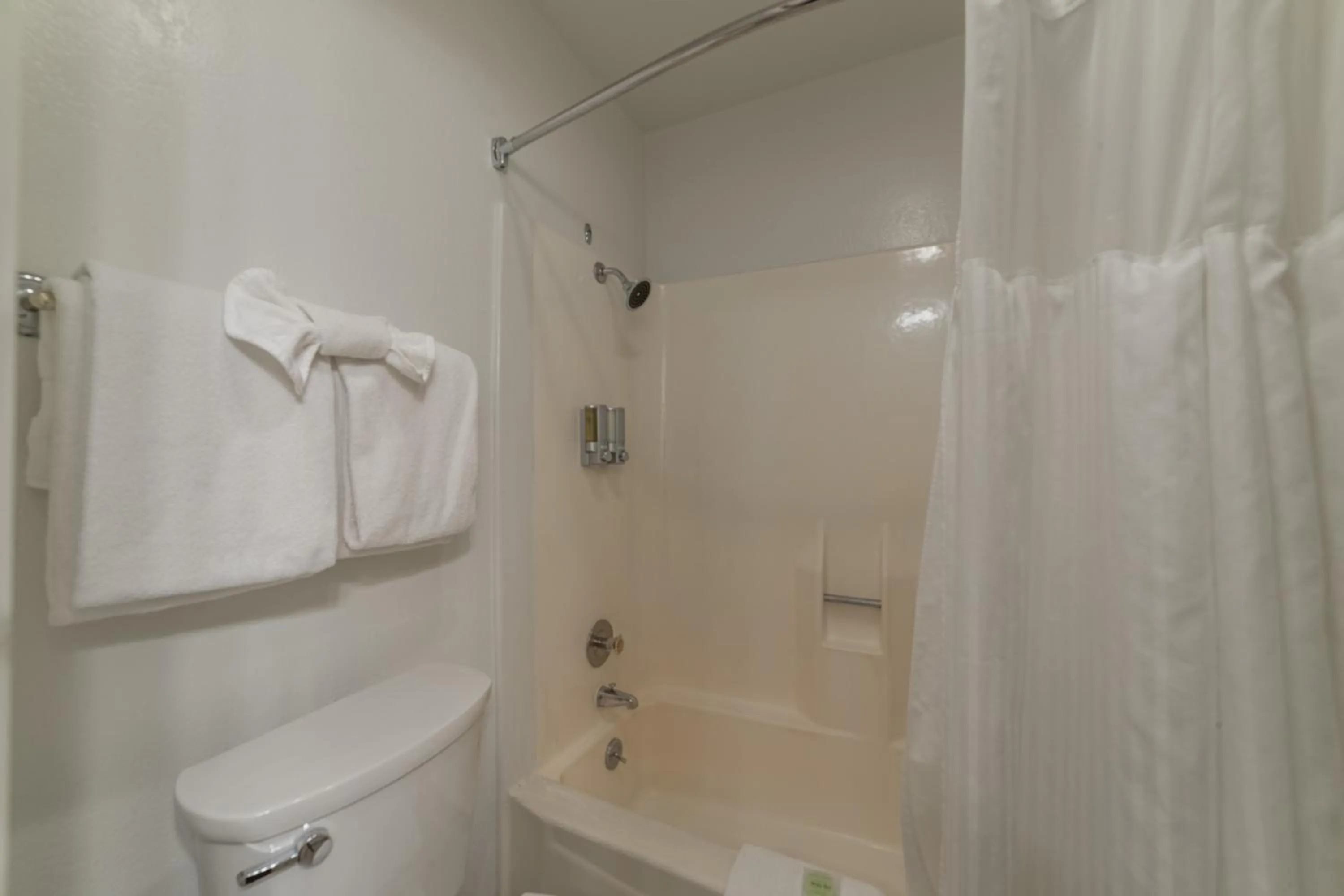 Shower in Alpenhof Lodge