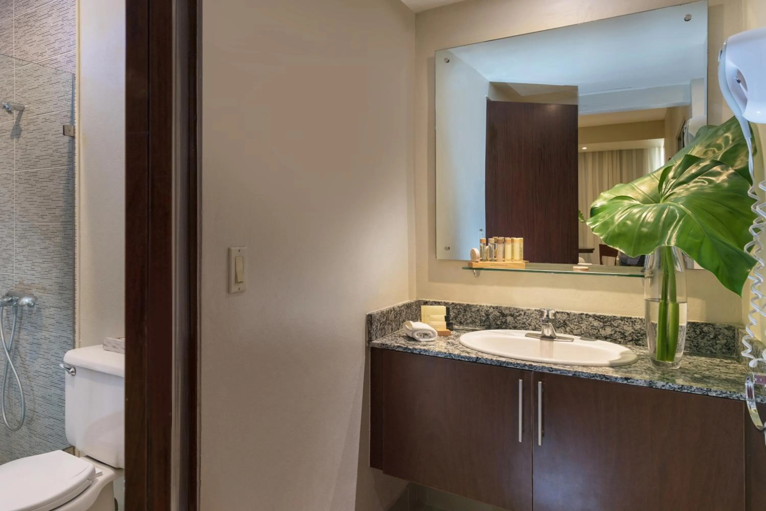 Toilet in Hodelpa Caribe Colonial