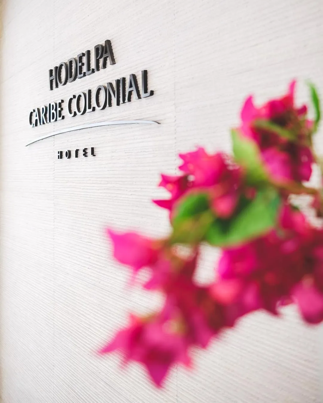 Area and facilities in Hodelpa Caribe Colonial