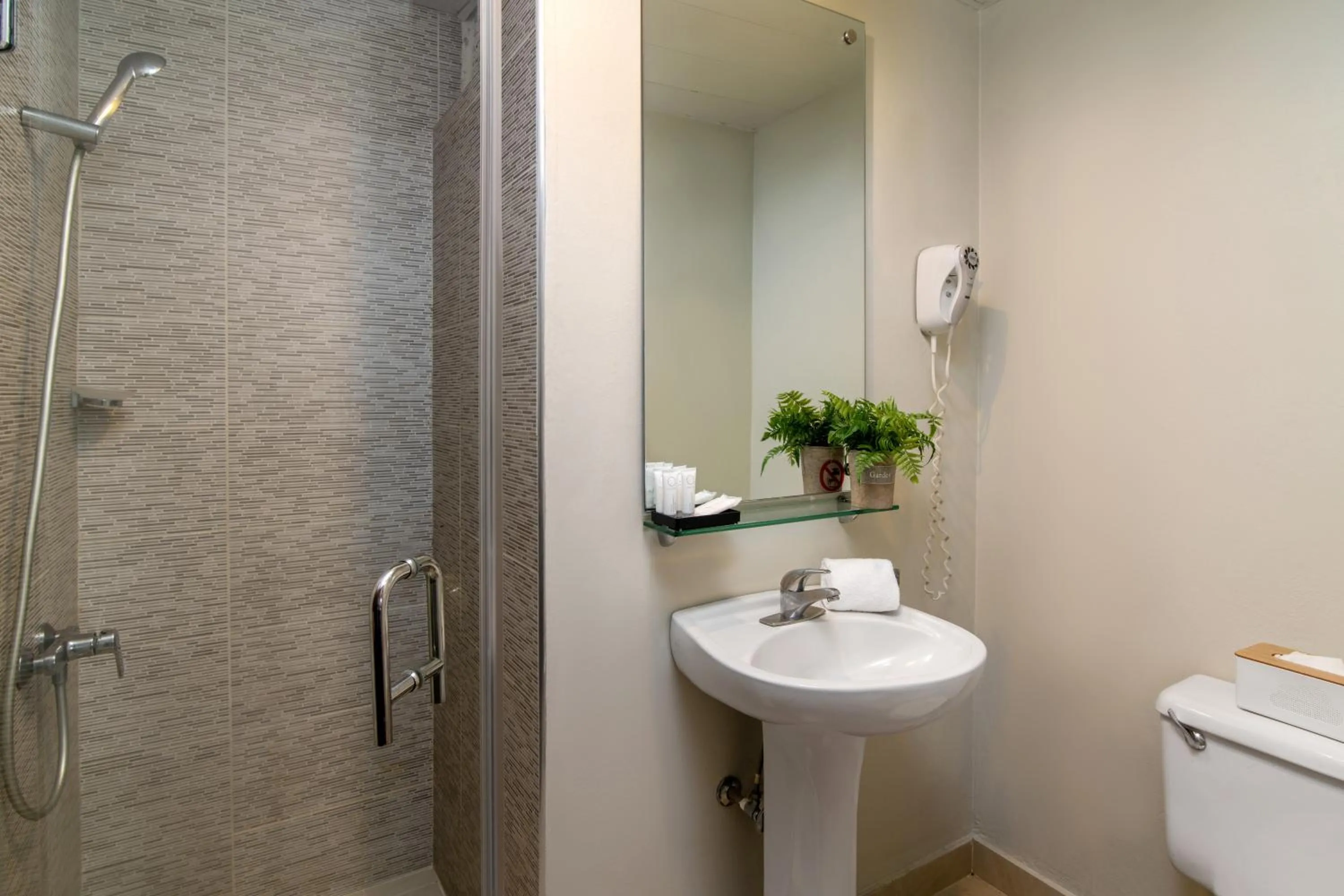 Bathroom in Hodelpa Caribe Colonial