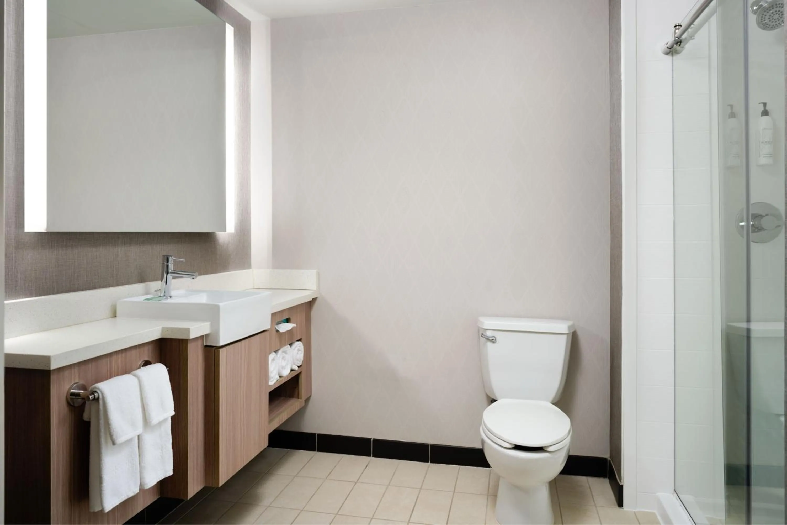 Bathroom in SpringHill Suites Minneapolis-St. Paul Airport/Mall Of America