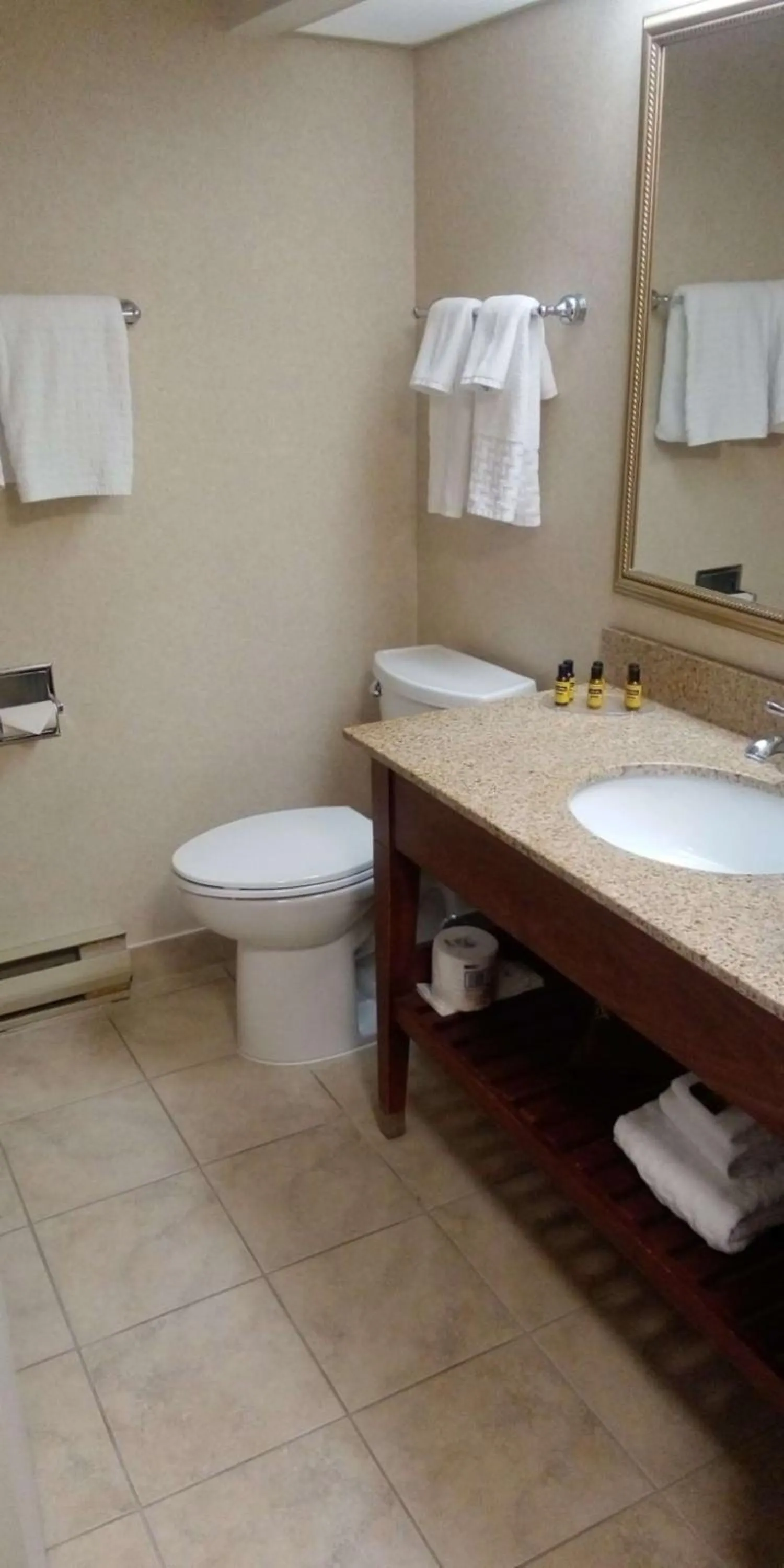 Bathroom in Best Western Plus Otonabee Inn
