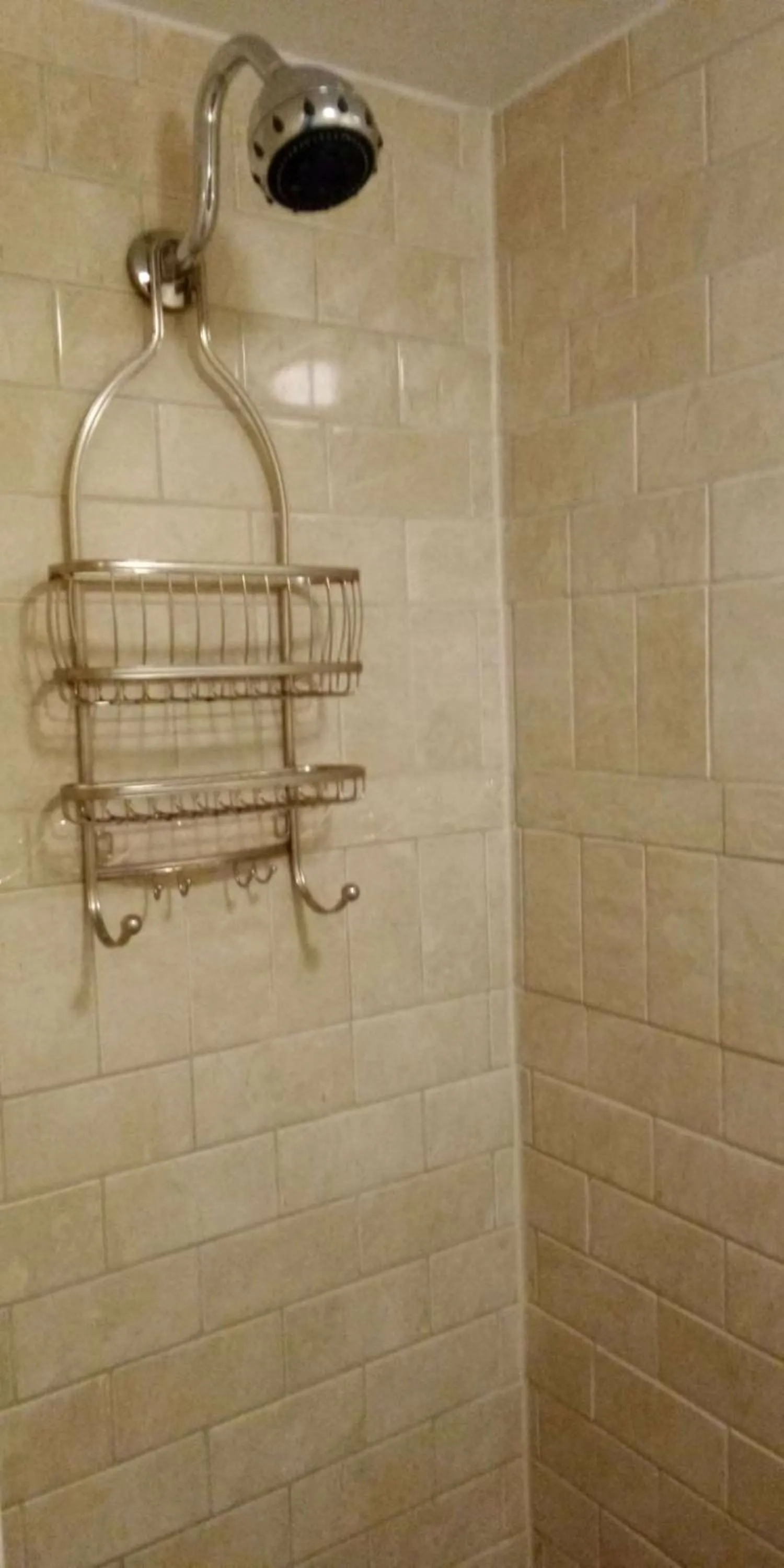 Bathroom in Best Western Plus Otonabee Inn