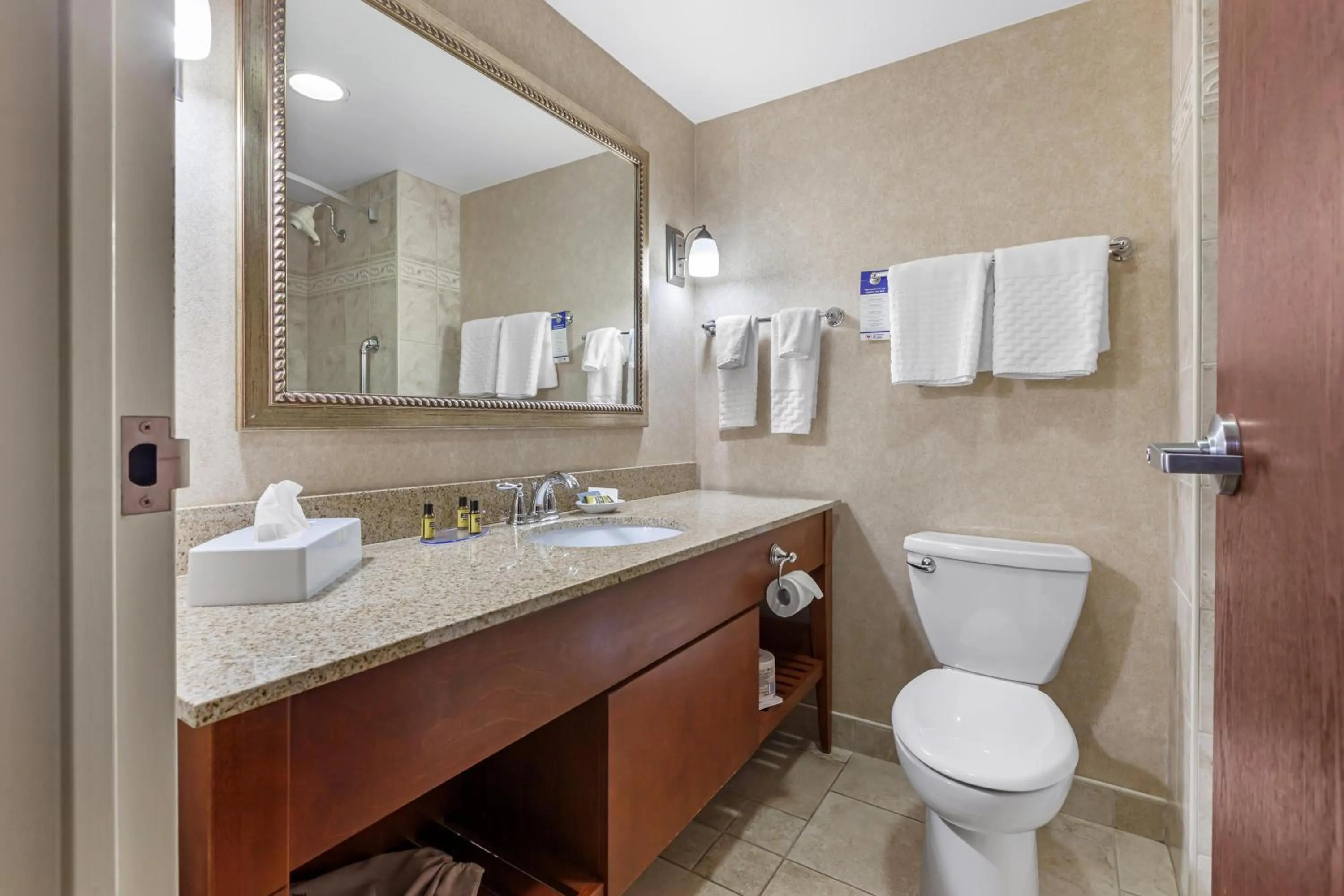 Bathroom in Best Western Plus Otonabee Inn