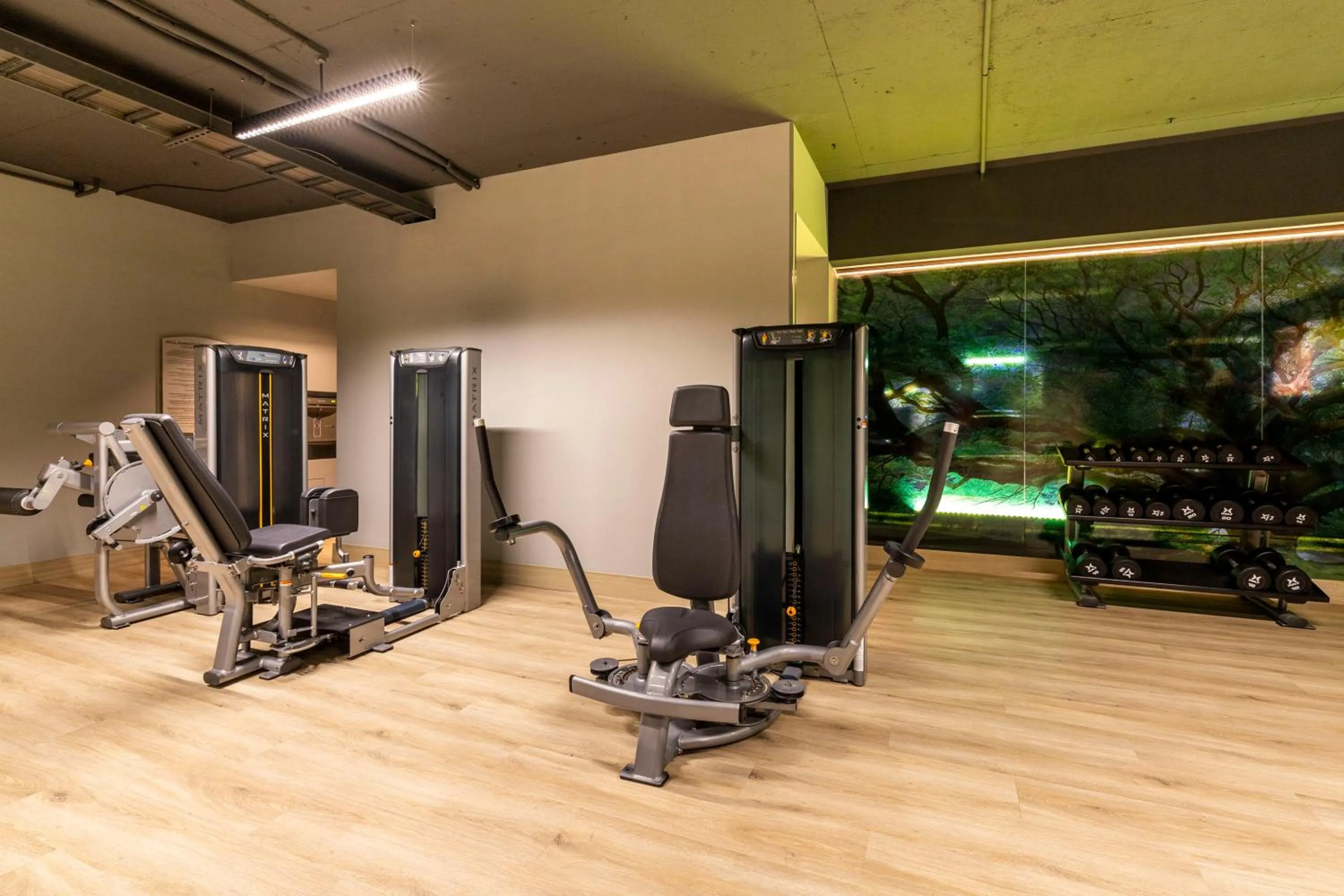 Fitness centre/facilities in Dominion Polanco