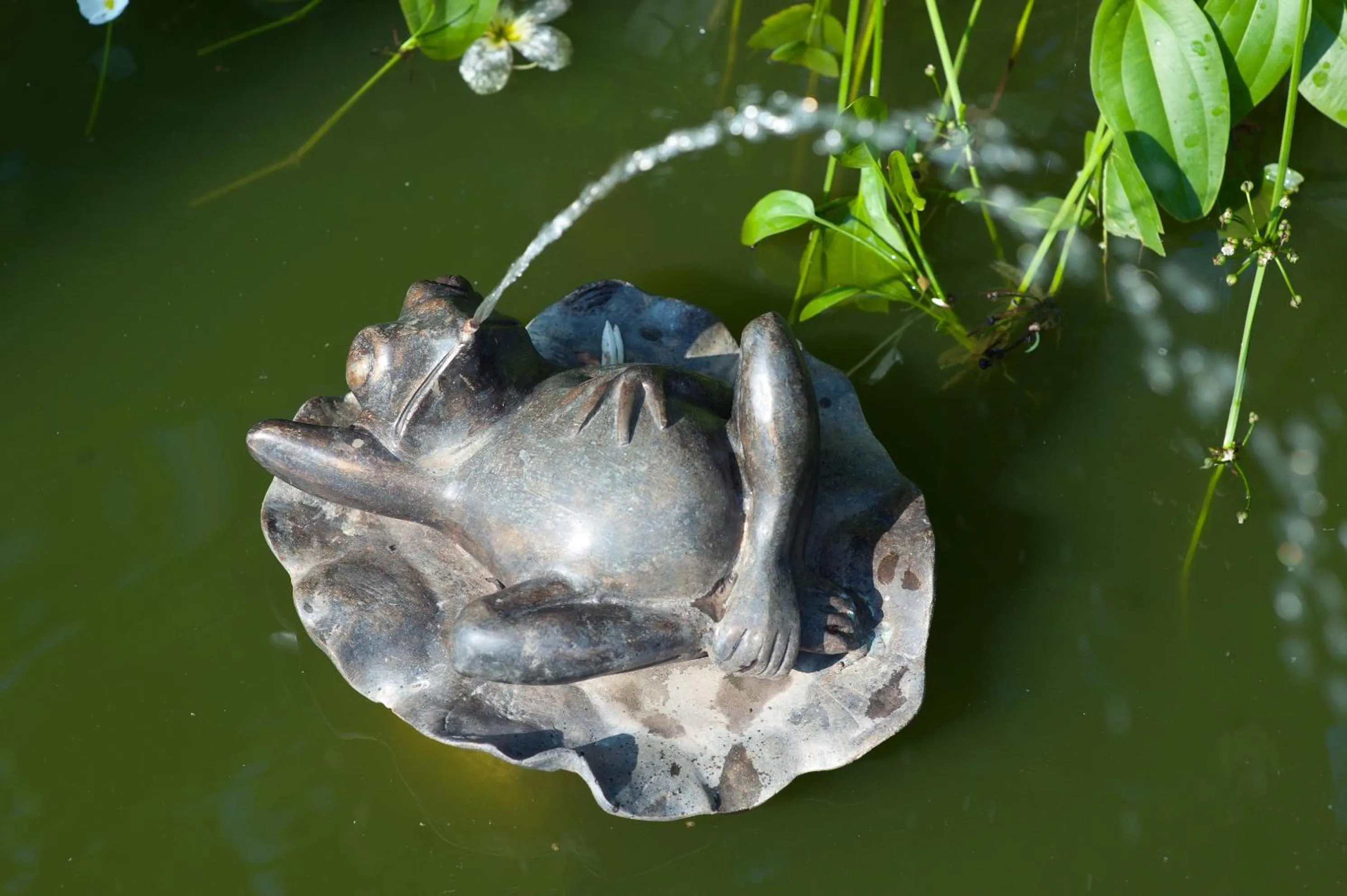 Decorative detail in Reef Villa
