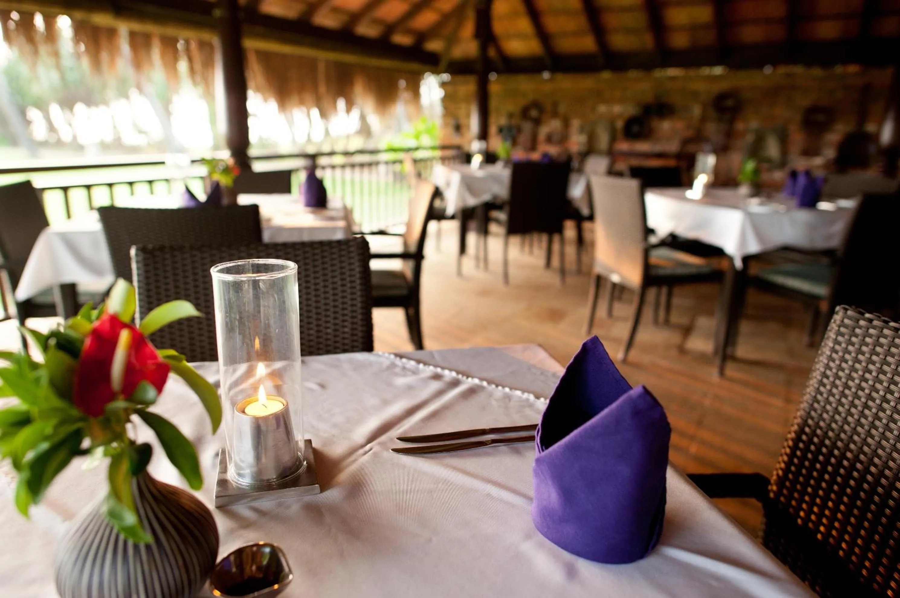 Restaurant/places to eat in Reef Villa