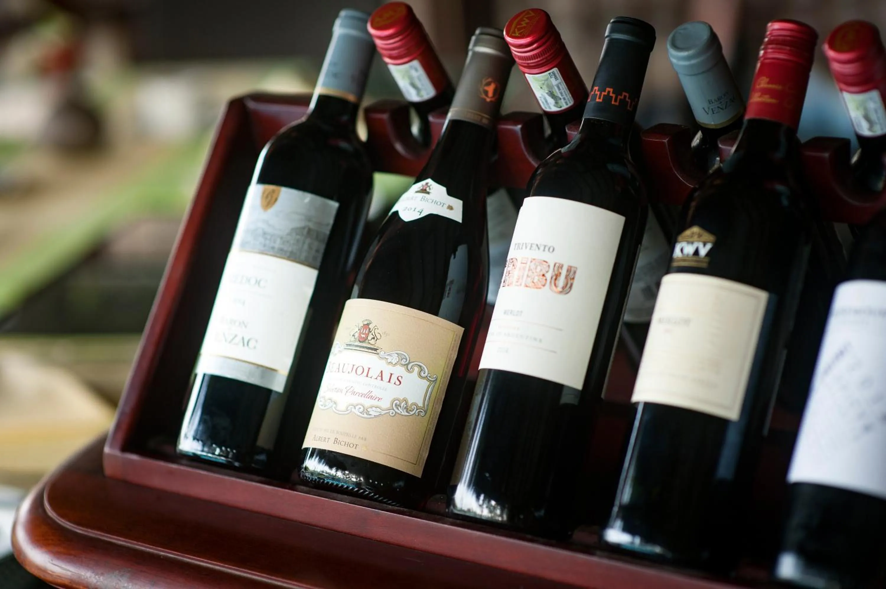 Lounge or bar in Reef Villa