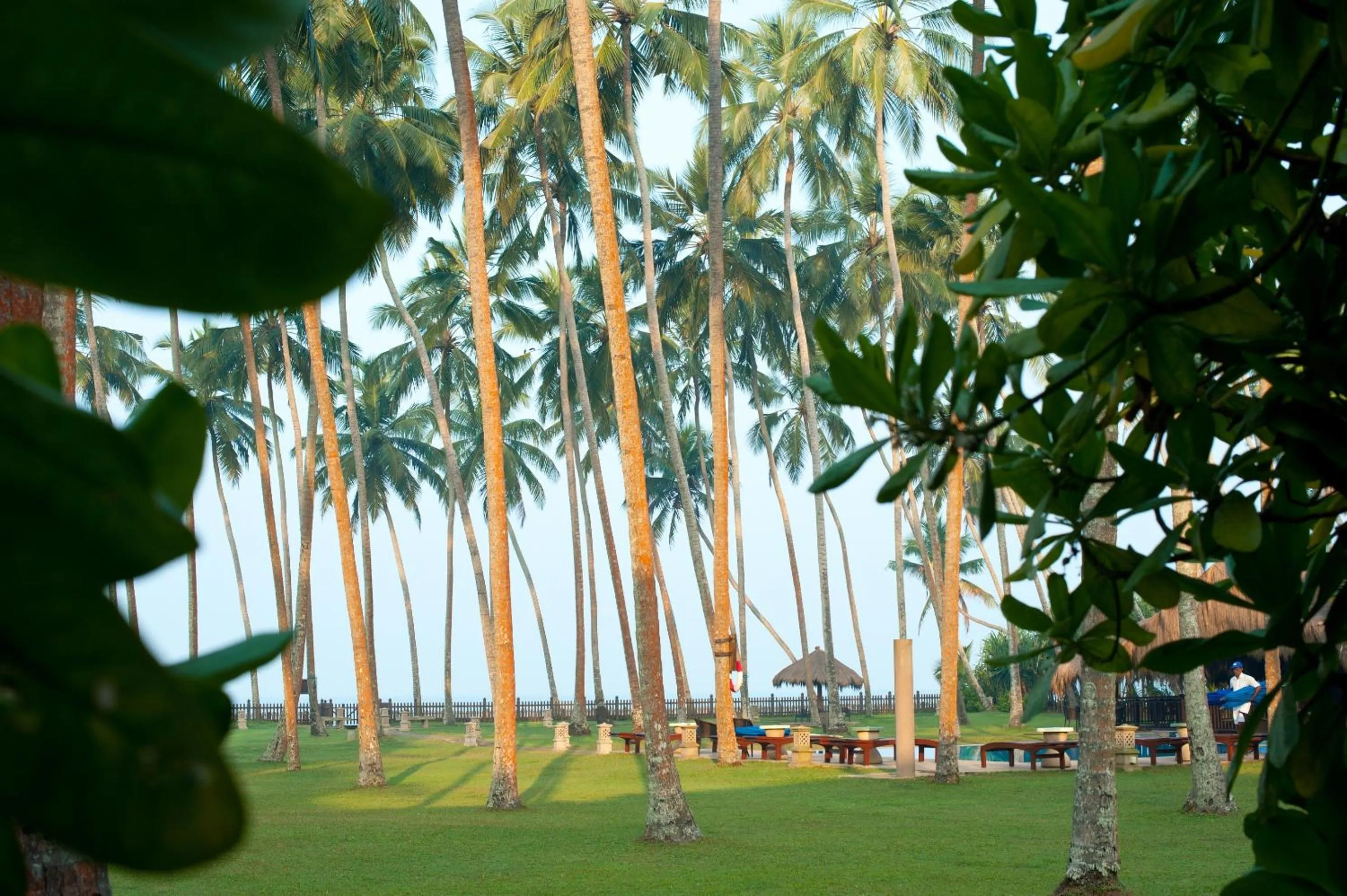 Garden view in Reef Villa