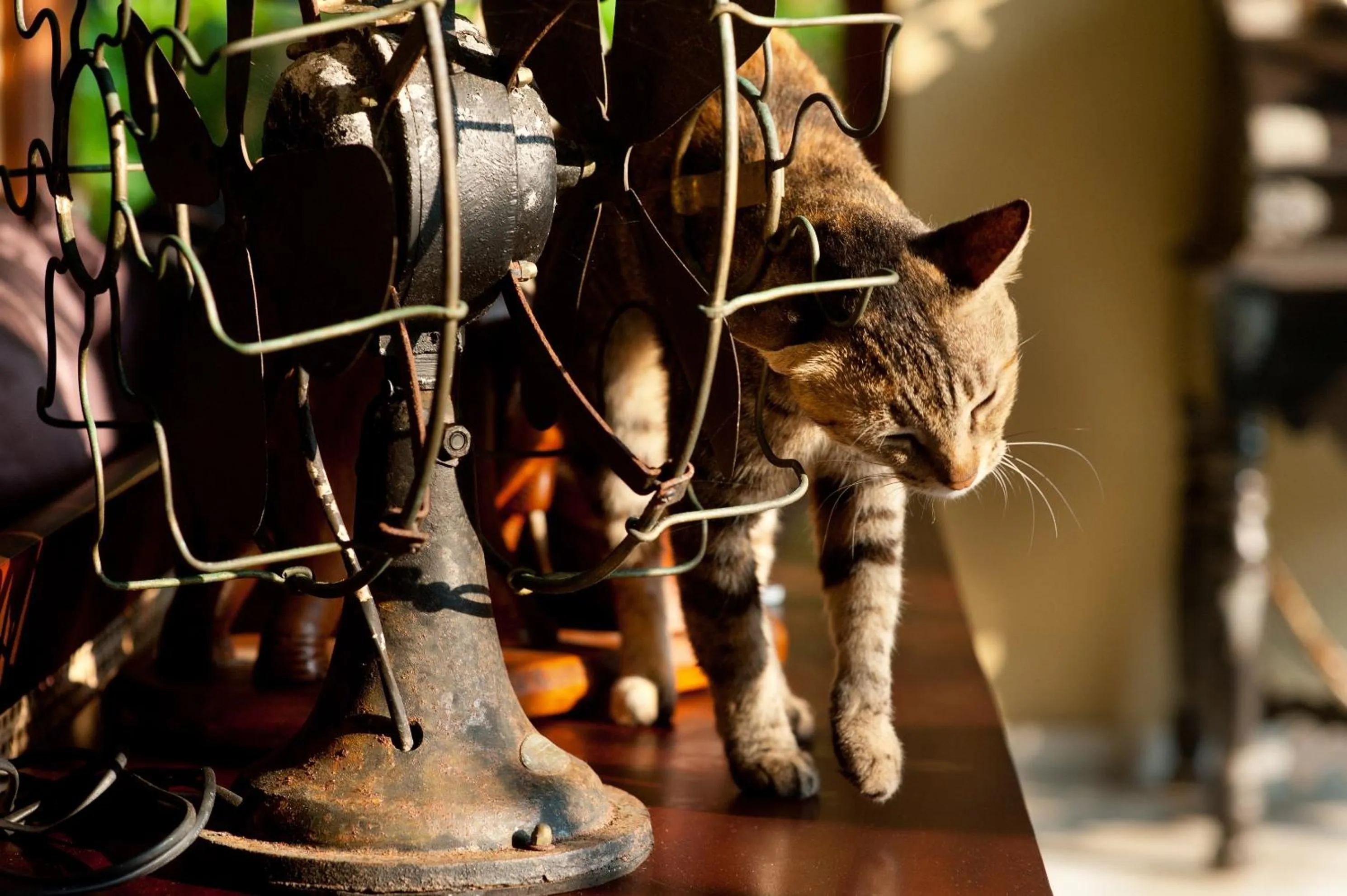 Lobby or reception in Reef Villa