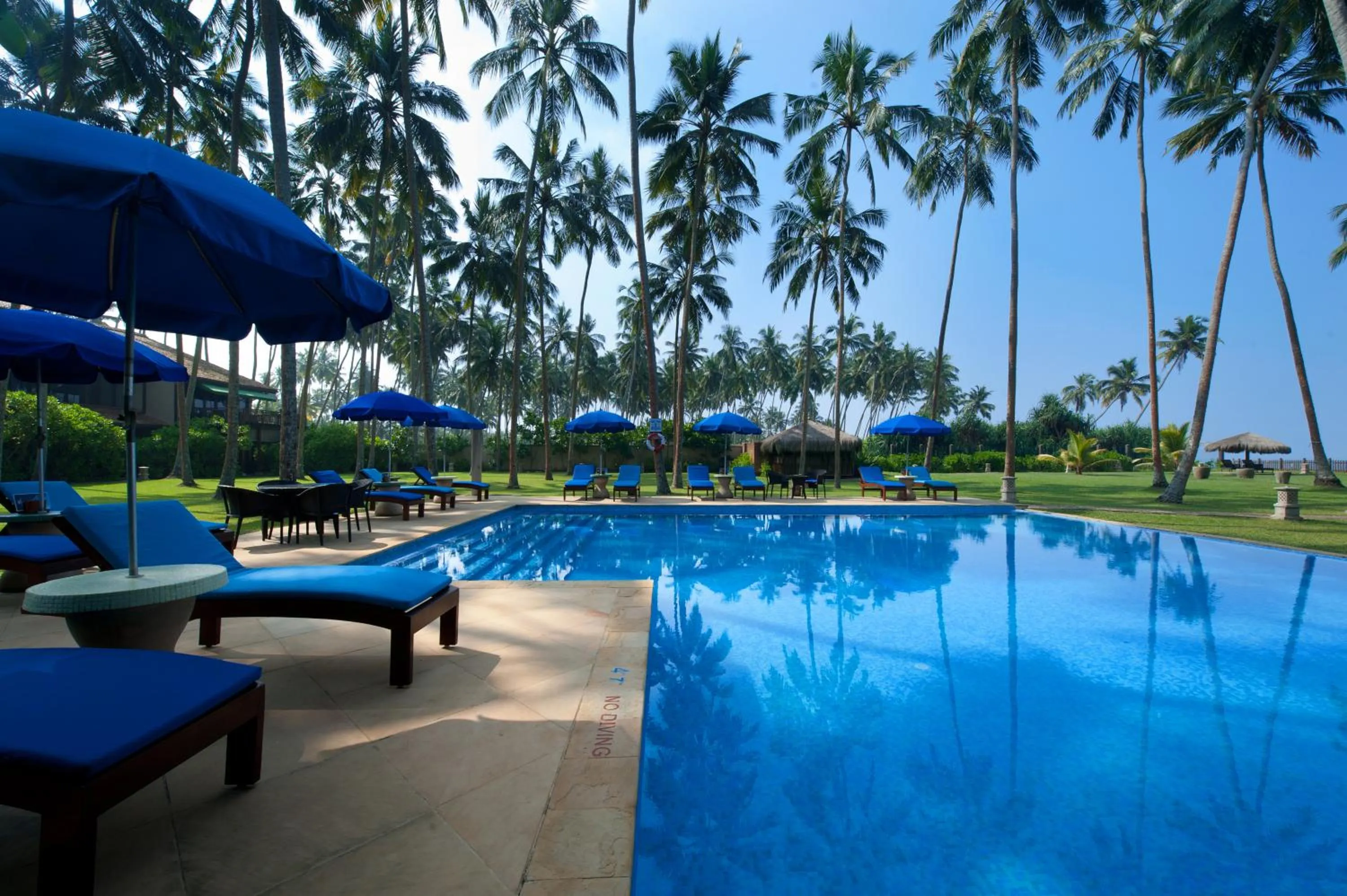 Swimming pool in Reef Villa