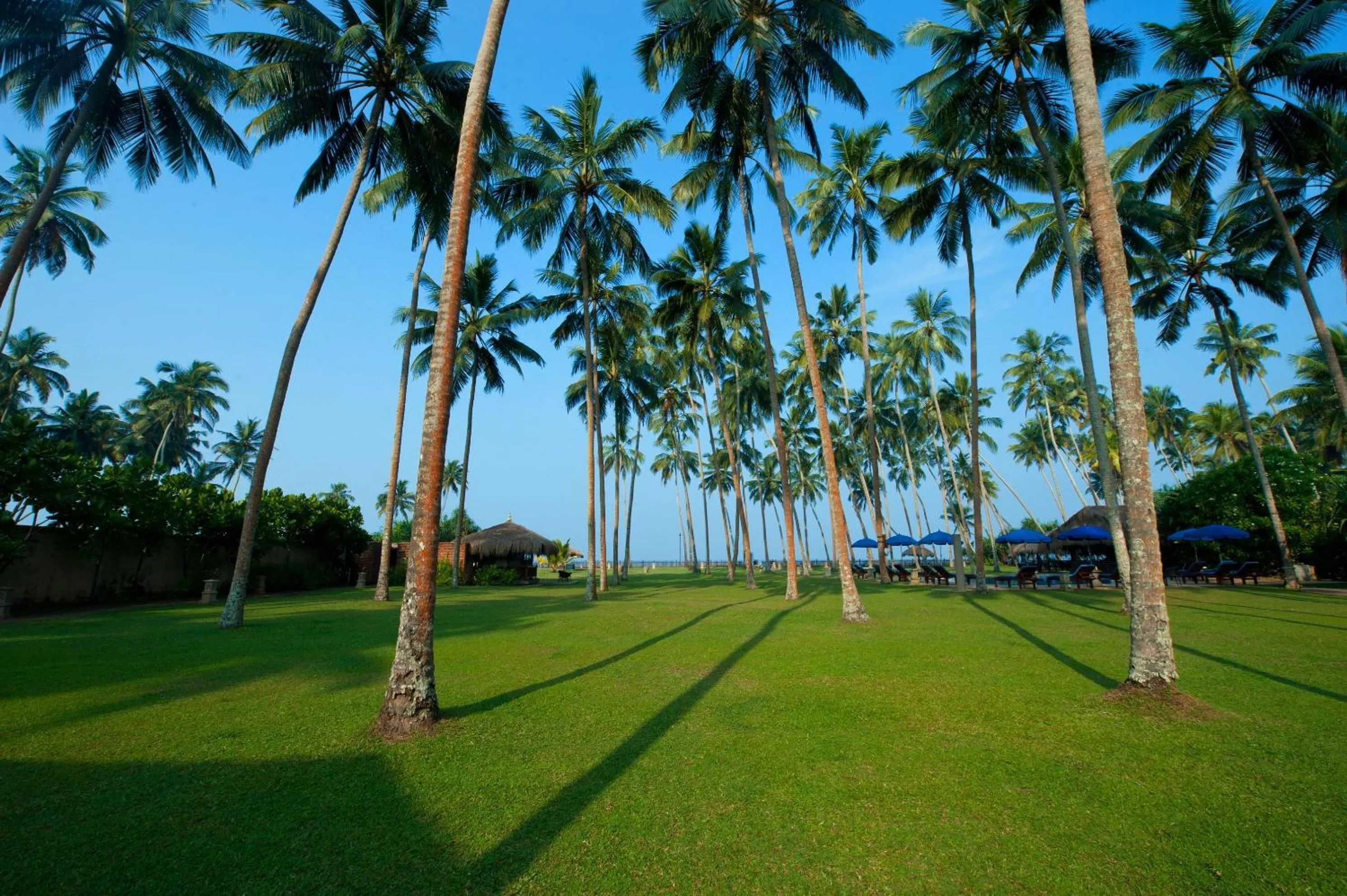 Garden view in Reef Villa